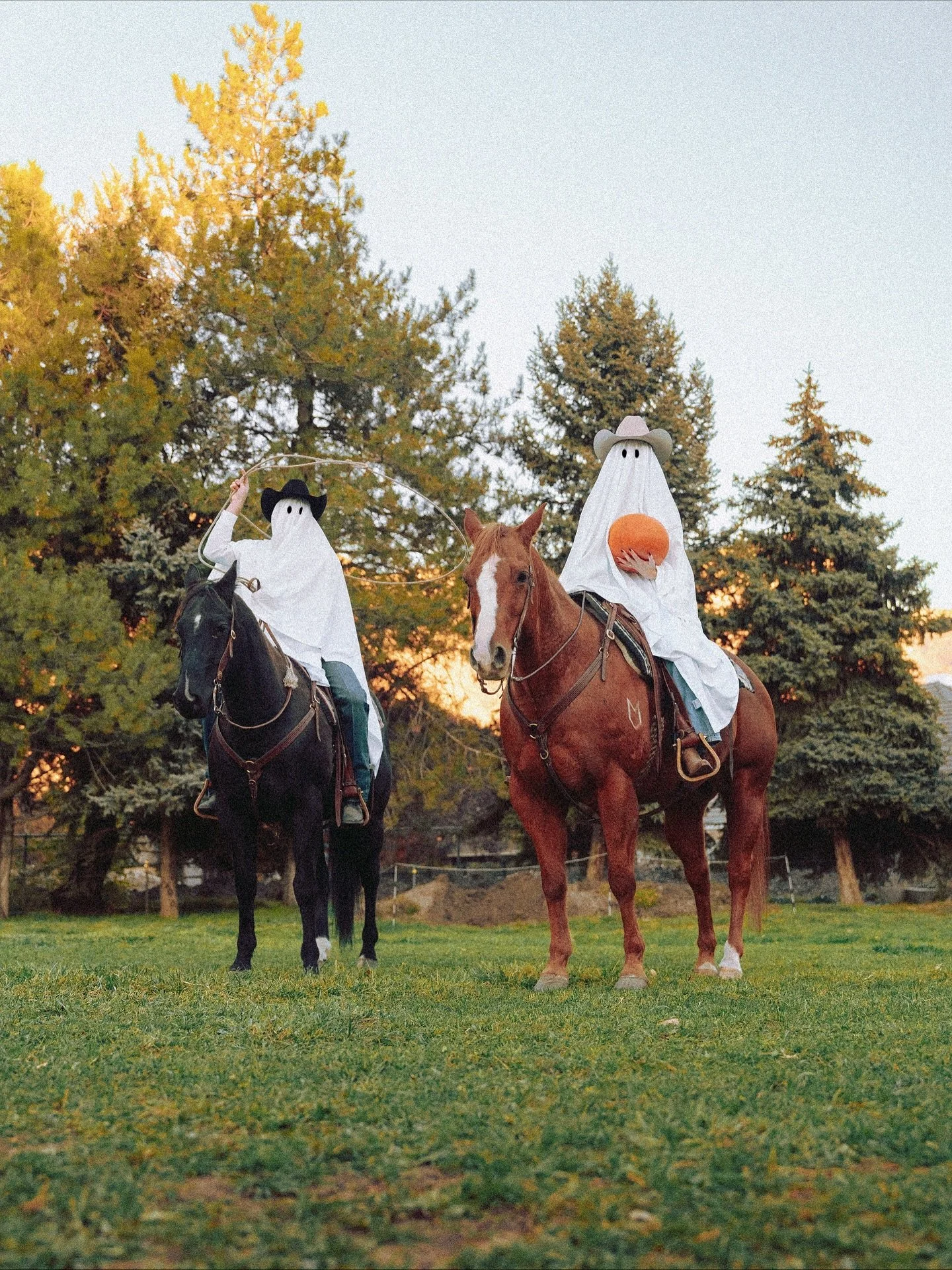 HAPPY HALLOWEEN 💀🎃👻

#happyhalloween #halloween #costume #horses #western #spooky #tarm #cowboy #cowgirl #angelmranch #fun #monstermash