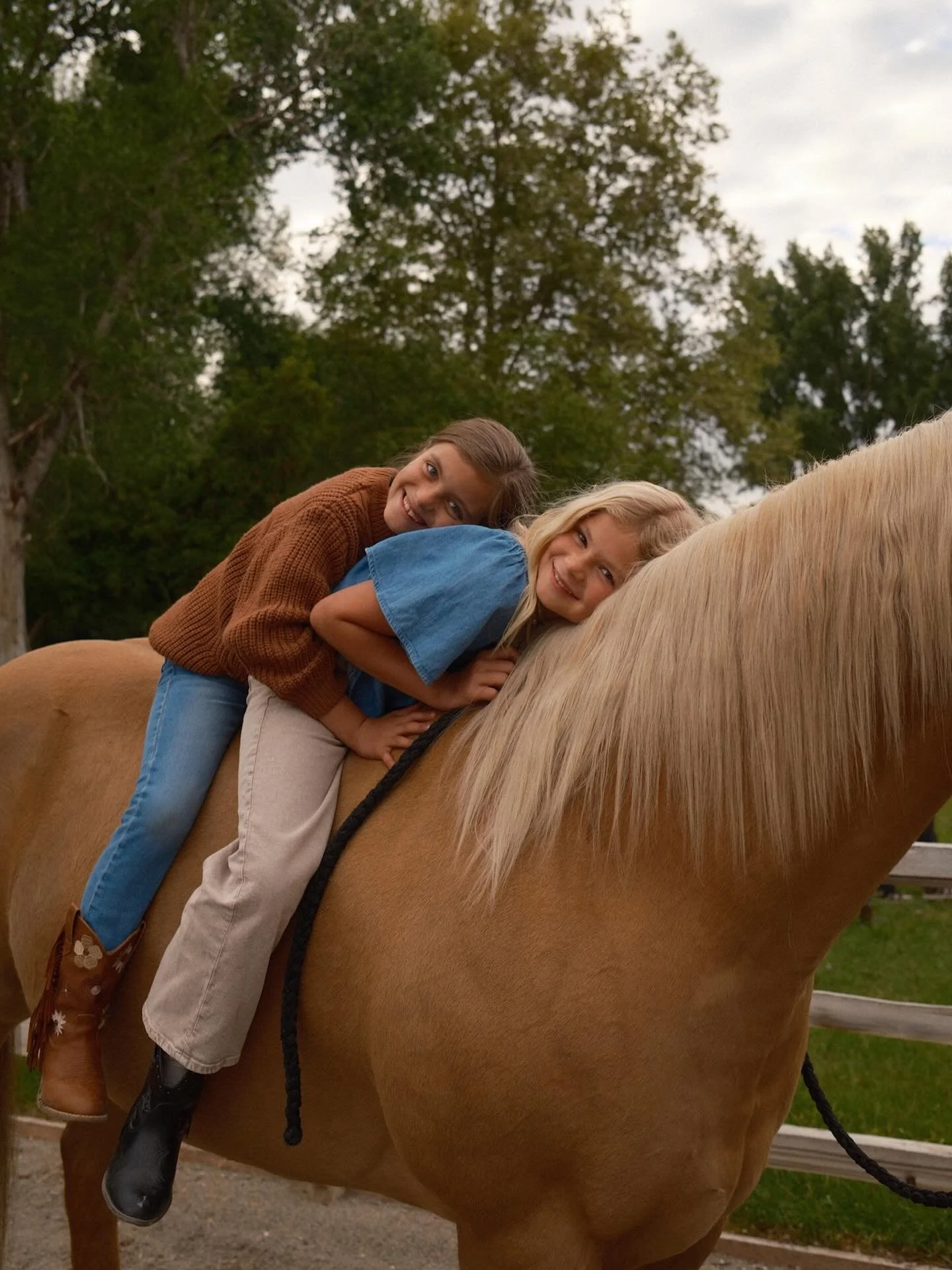 Roses are red, barns are brown&hellip; horses make the sweetest Valentine&rsquo;s in town! 🐴🌹🤍

Happy Valentine&rsquo;s Day from us to you! We love all of you! 

#happyvalentine #valentines #horse #love #loveyou