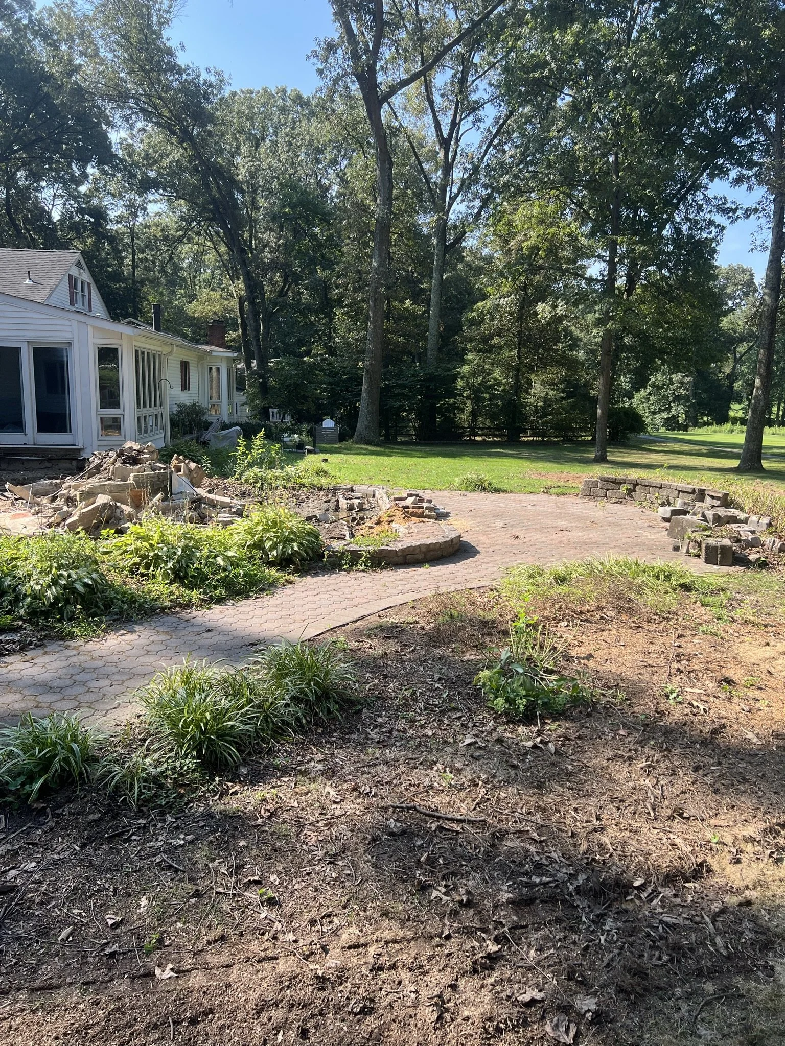 Before - Hardscape Demo