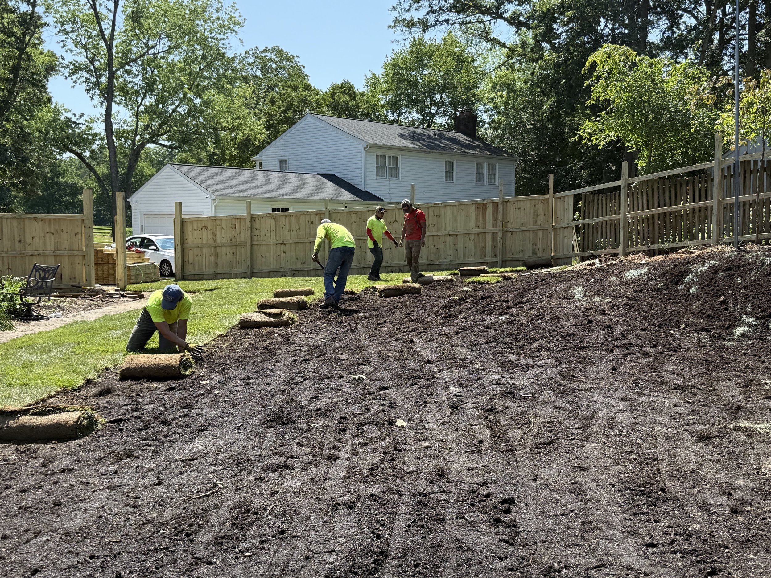 Laying of sod.