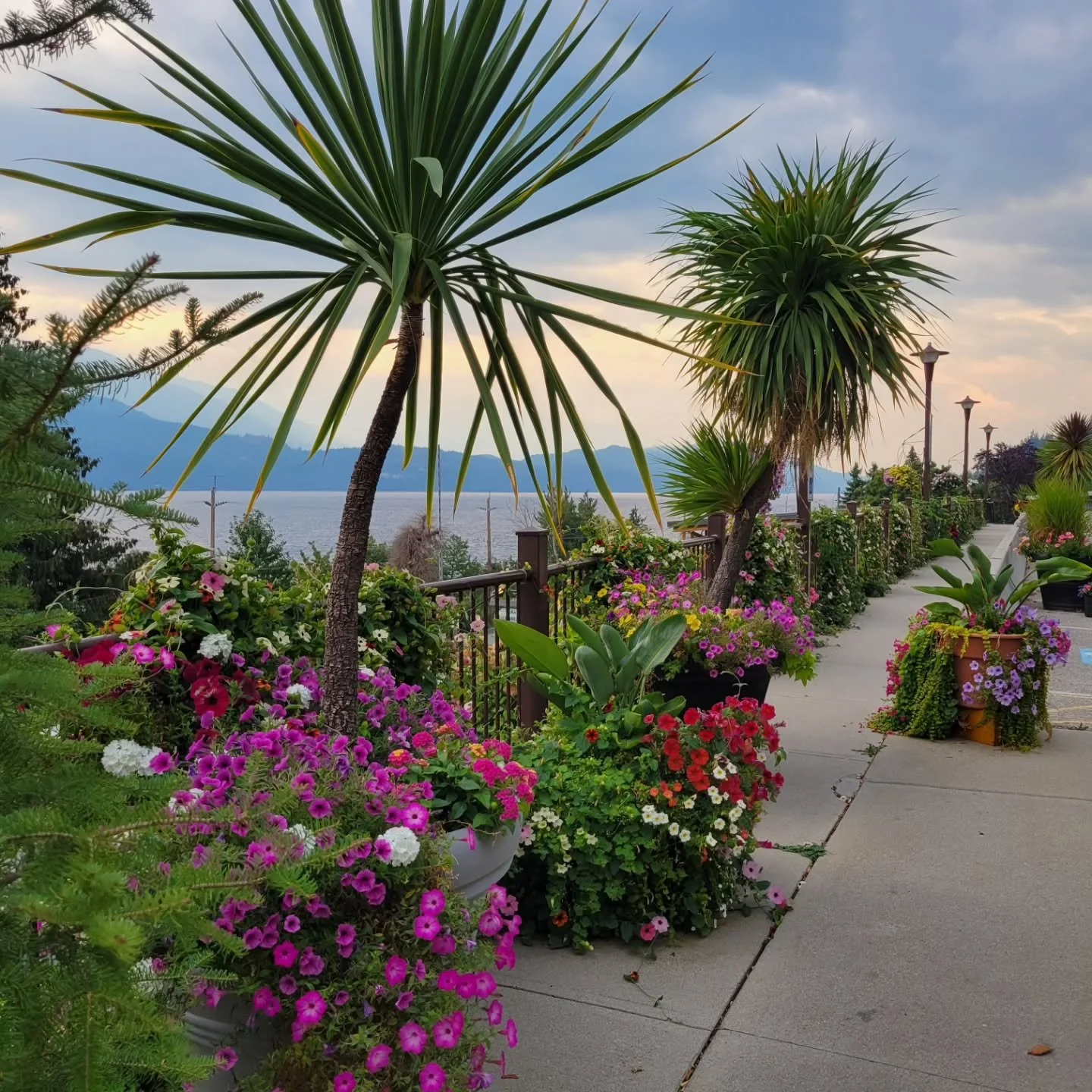 And that's a wrap! What an amazing vacation.  Kyle convinced me to &quot;make no plans&quot; for this one, and just go where we felt like.  And, this one time, he was right. 😜 We followed good weather, and great riding. 

1. Beautiful flowers at Ain