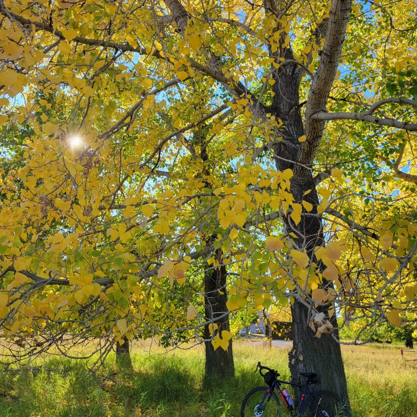 2 bike rides in 2 days! 💕🚴💕🚴💕🚴