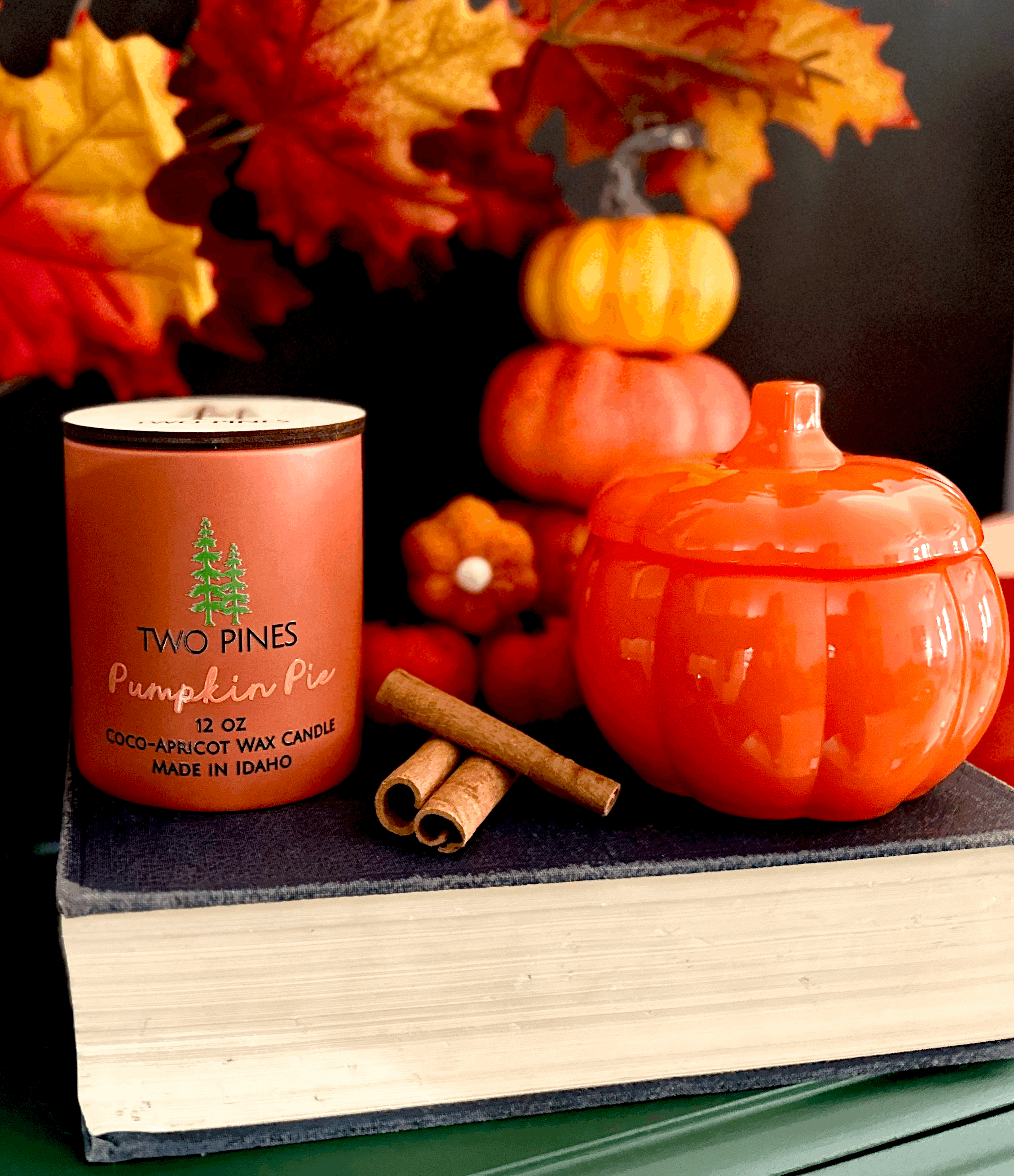 Pumpkin Pie