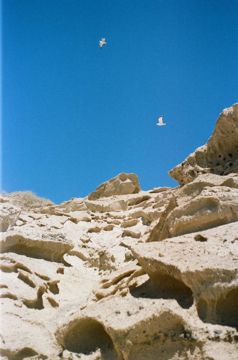 View of a sandy, rocky landscape with a clear blue sky and two seagulls flying above.