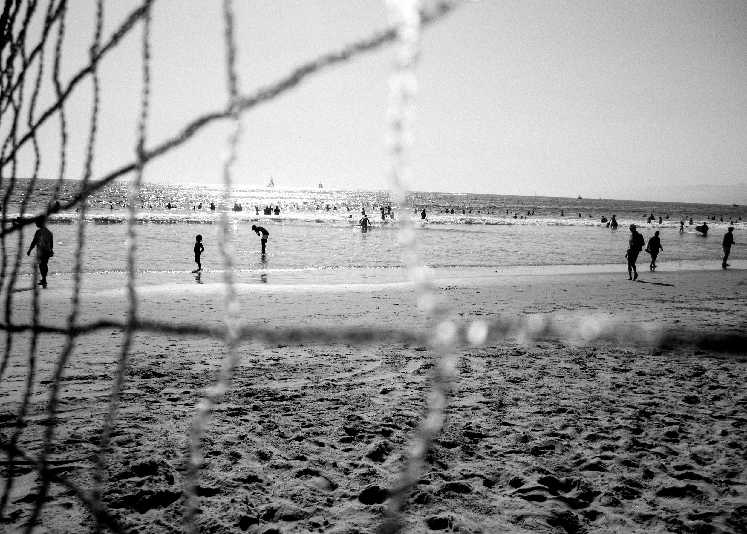 IMG_6581.jpg