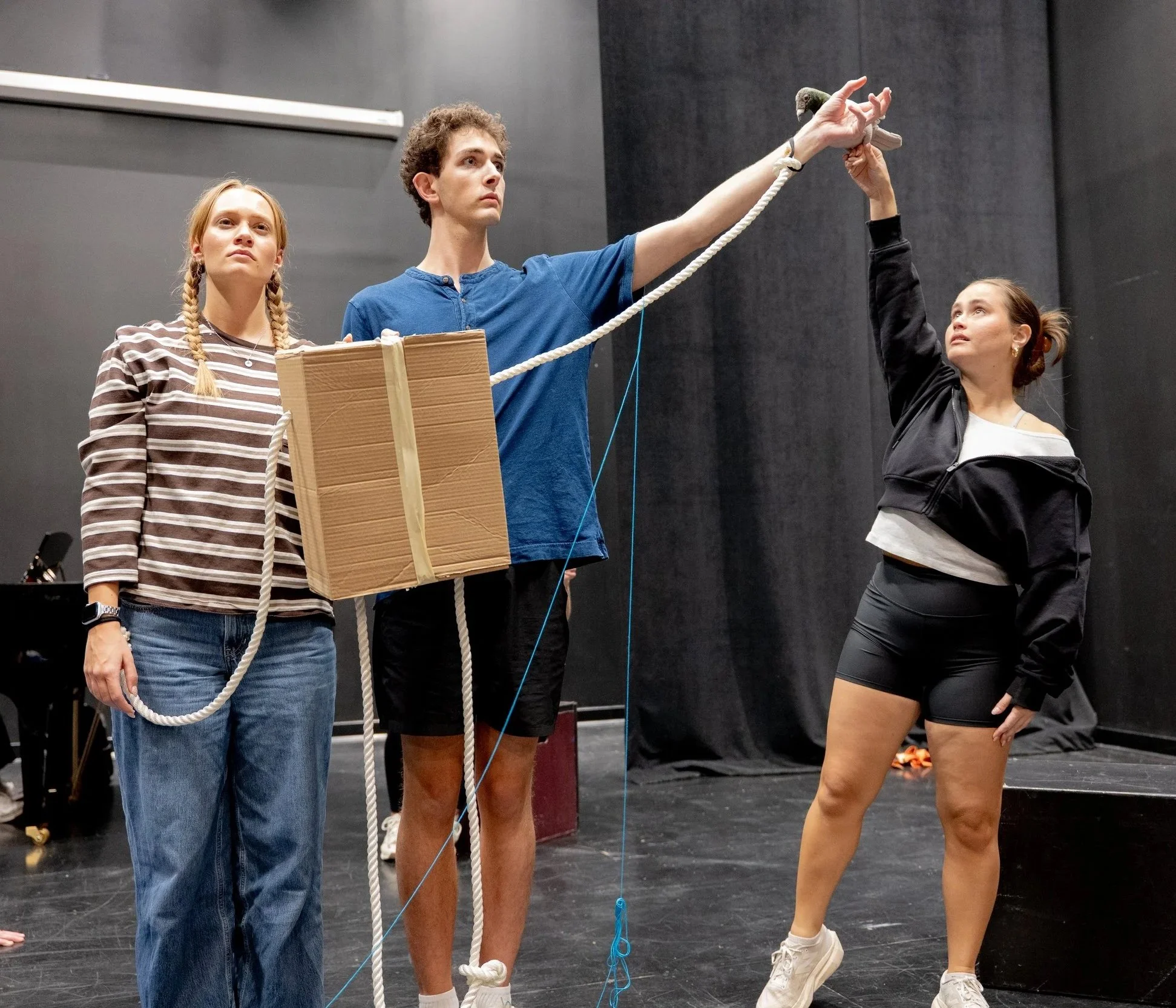 New Box, New Musicals Rehearsals