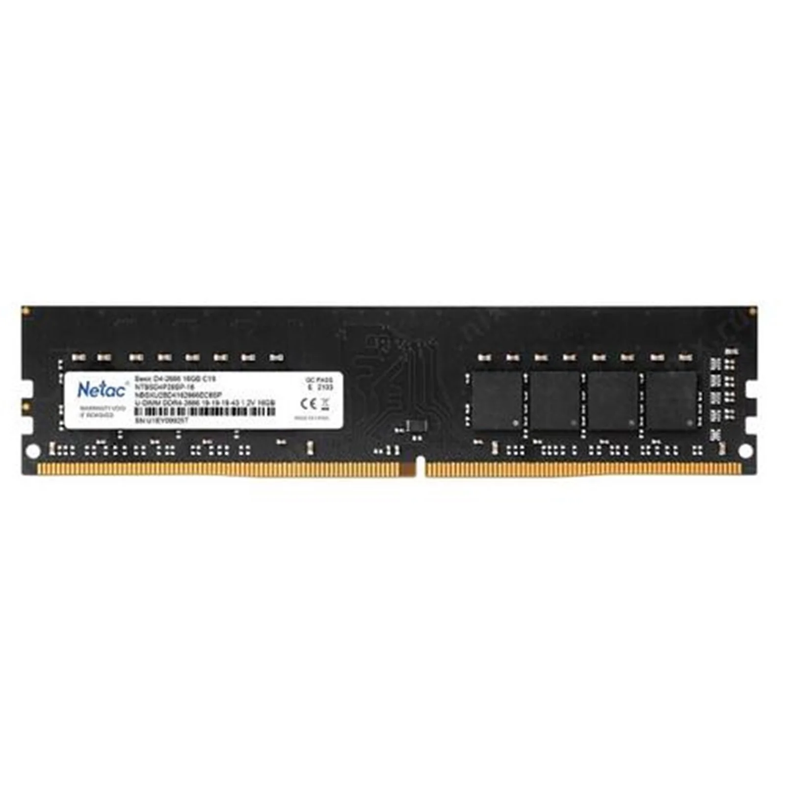sdnet-nt4p26sp16-hg.jpg