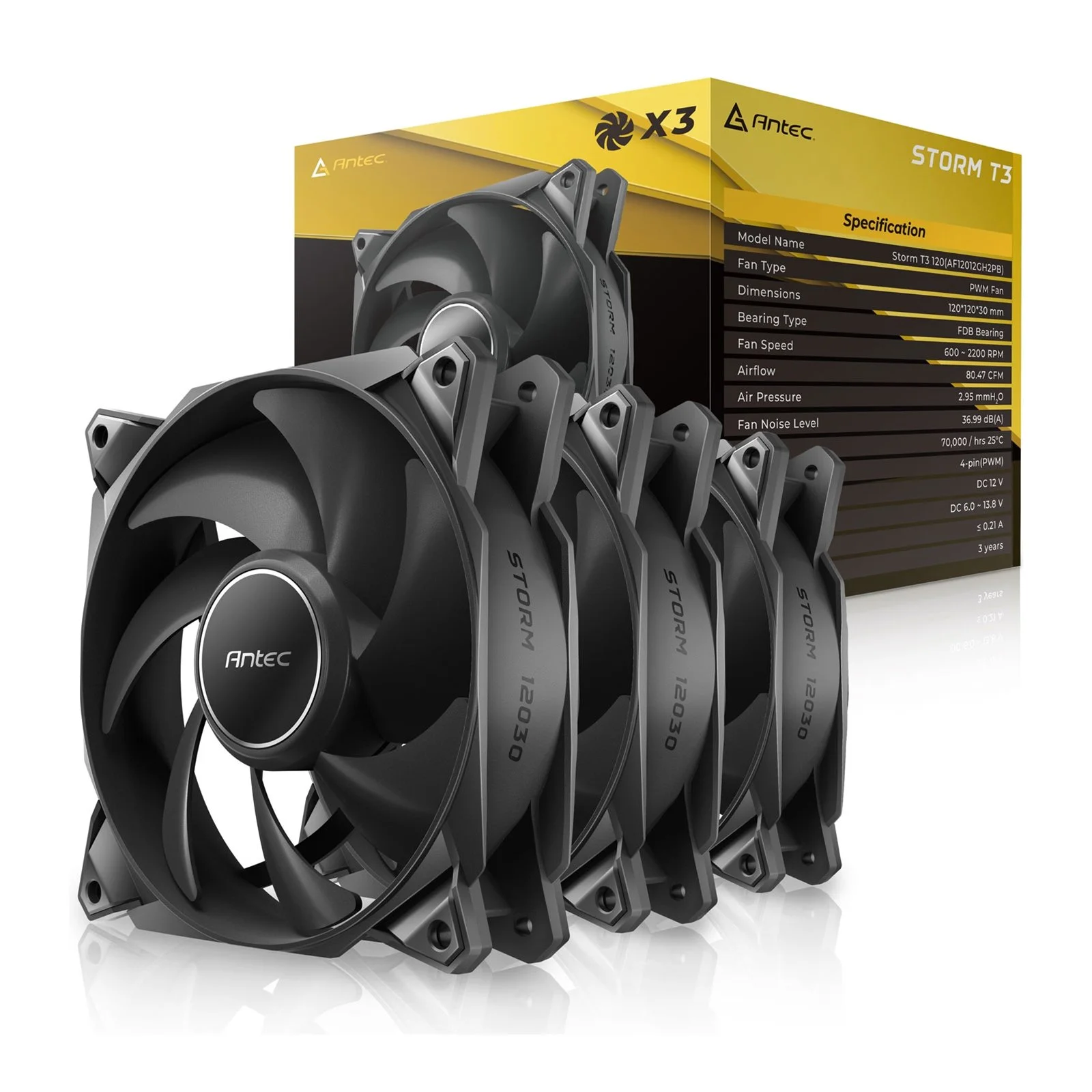 faant-stor1203pk-hg.jpg