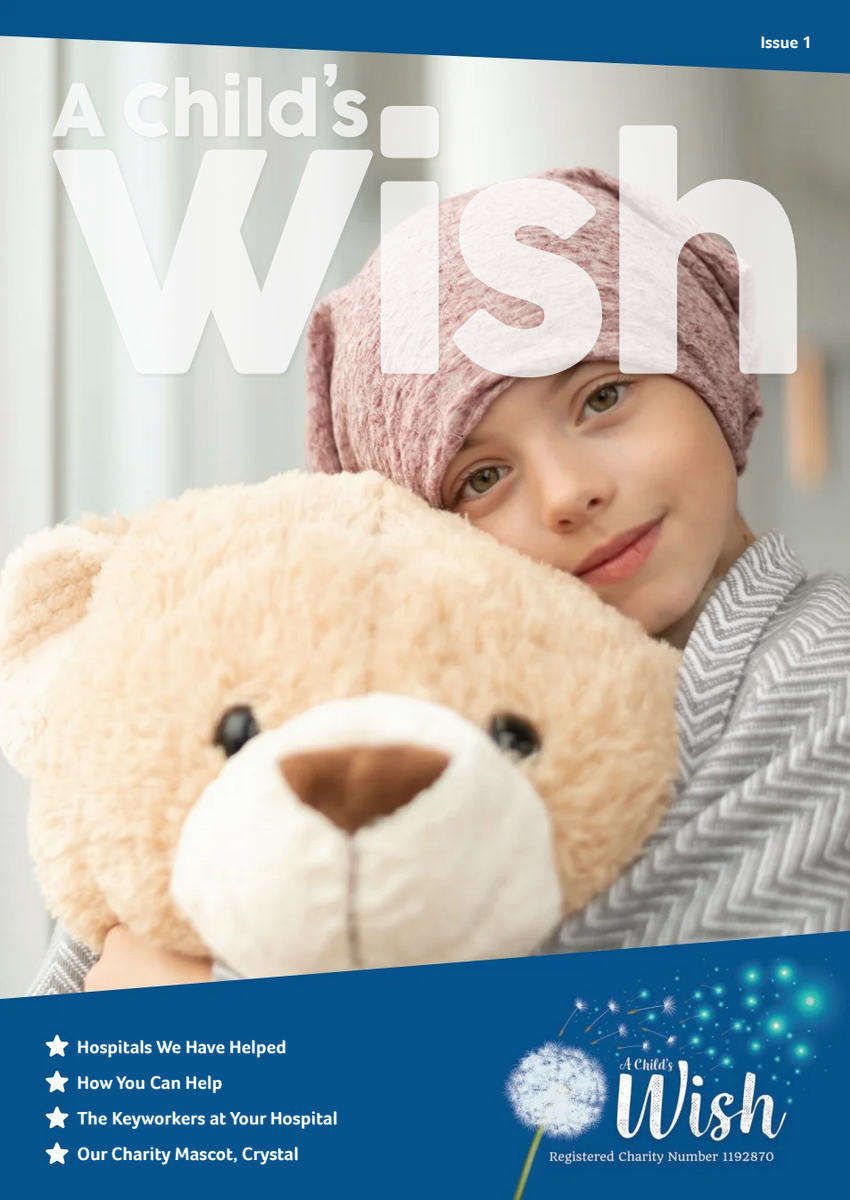 LaunchLayers support of A Child's wish which features a young child wearing a pink hat hugging a large teddy bear, promoting a charity called 'A Child's Wish'.