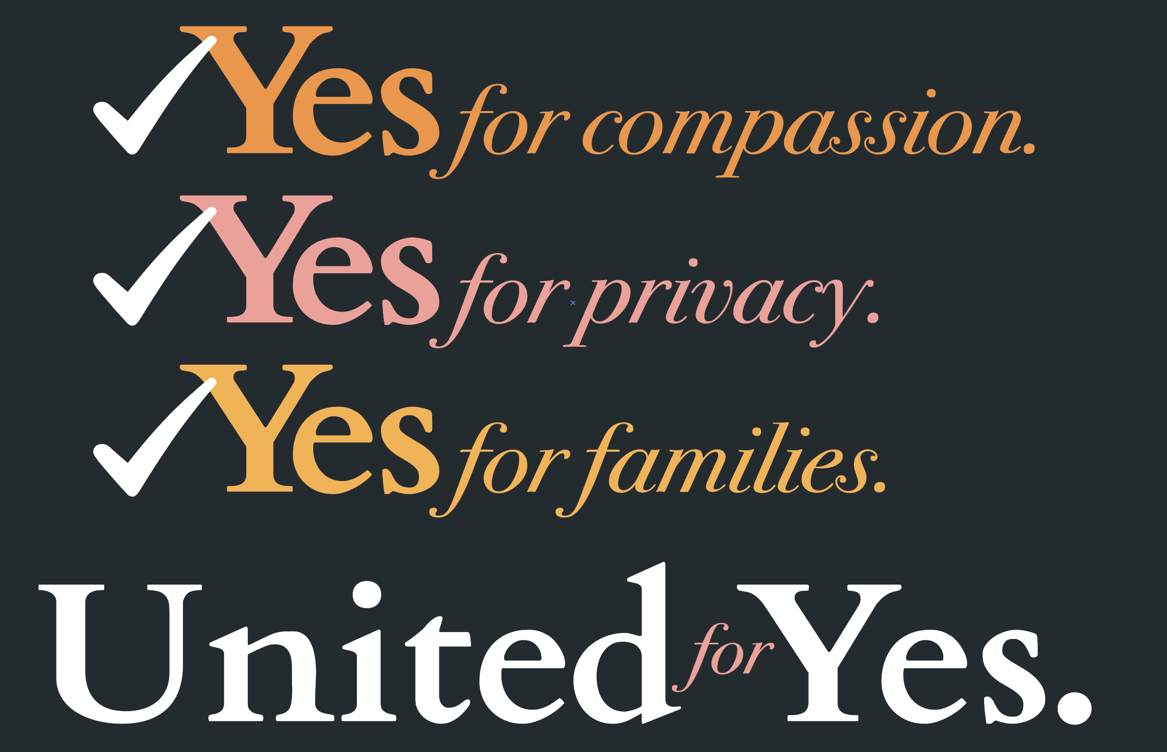 'Yes for compassion.'
'Yes for privacy.'
'Yes for families.'
United for Yes