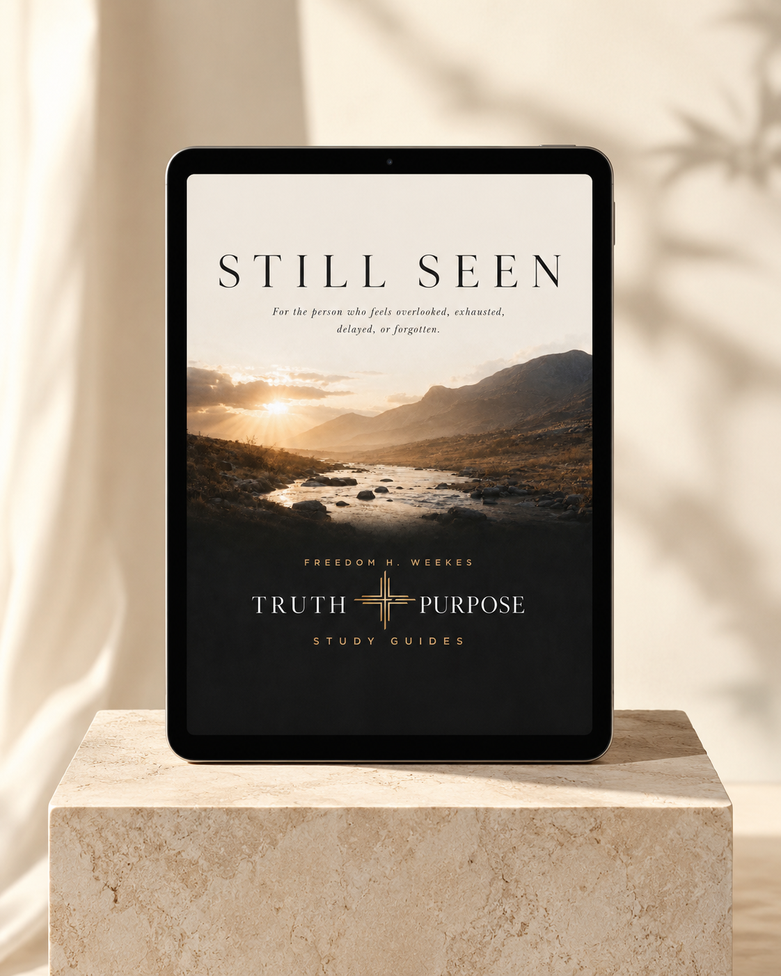 Still Seen: A Truth + Purpose Study Guide