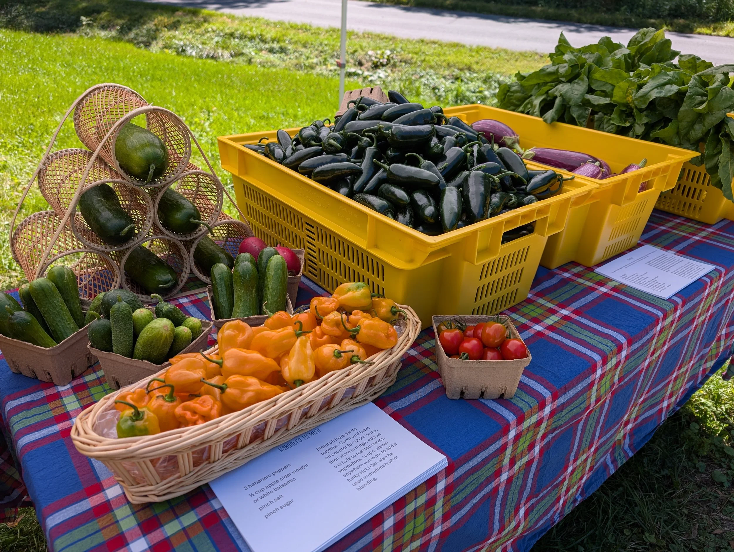 Farm Stand Day