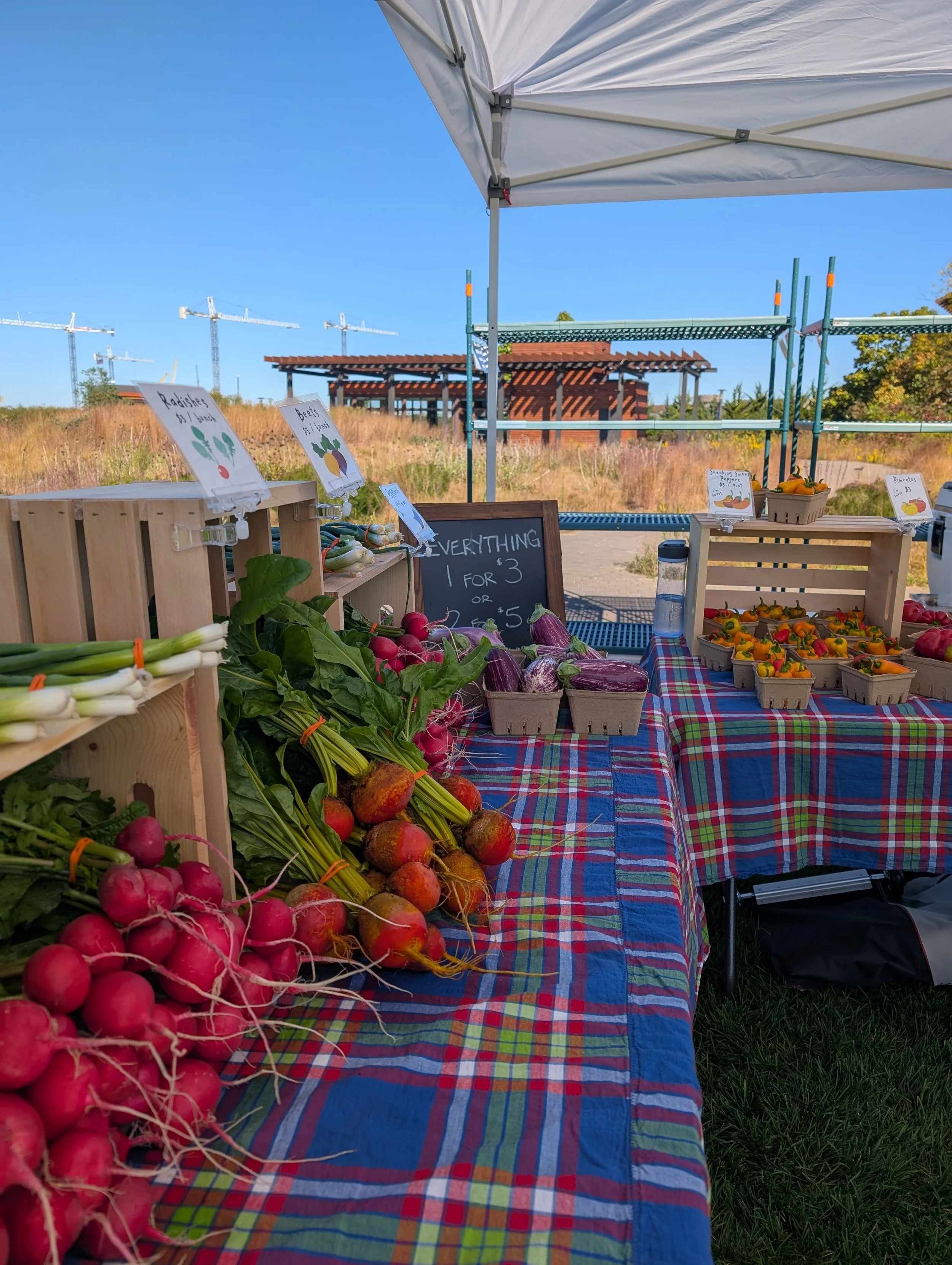 Farmstand and CSA pickup