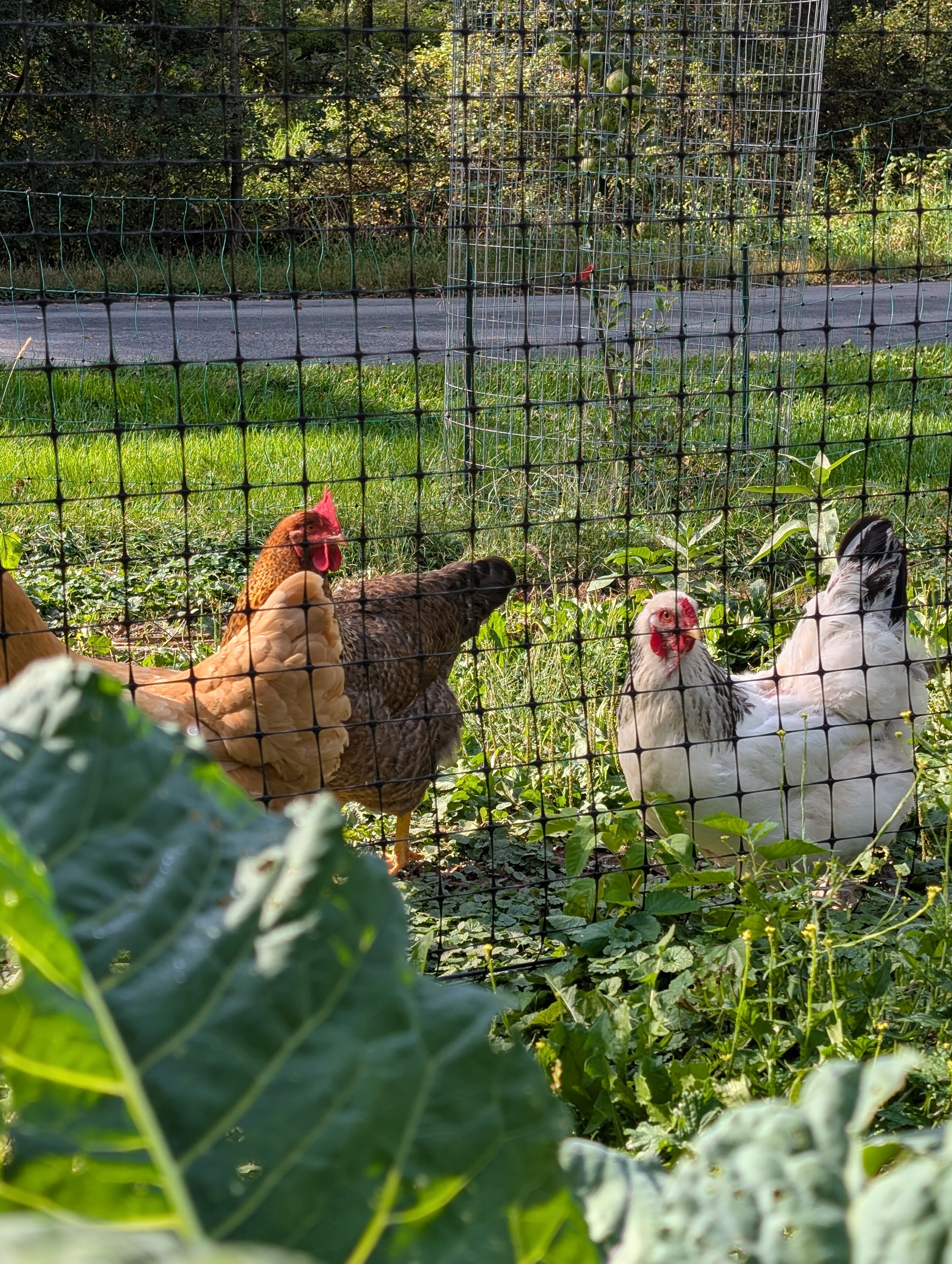 PXL_20250917_150257400 (1).jpg