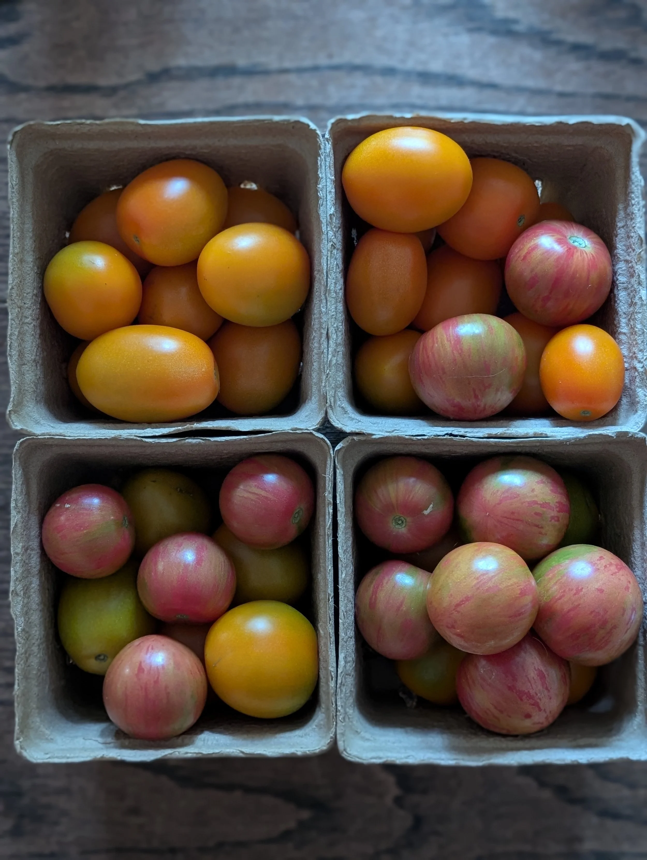 Farmstand and CSA pickup 