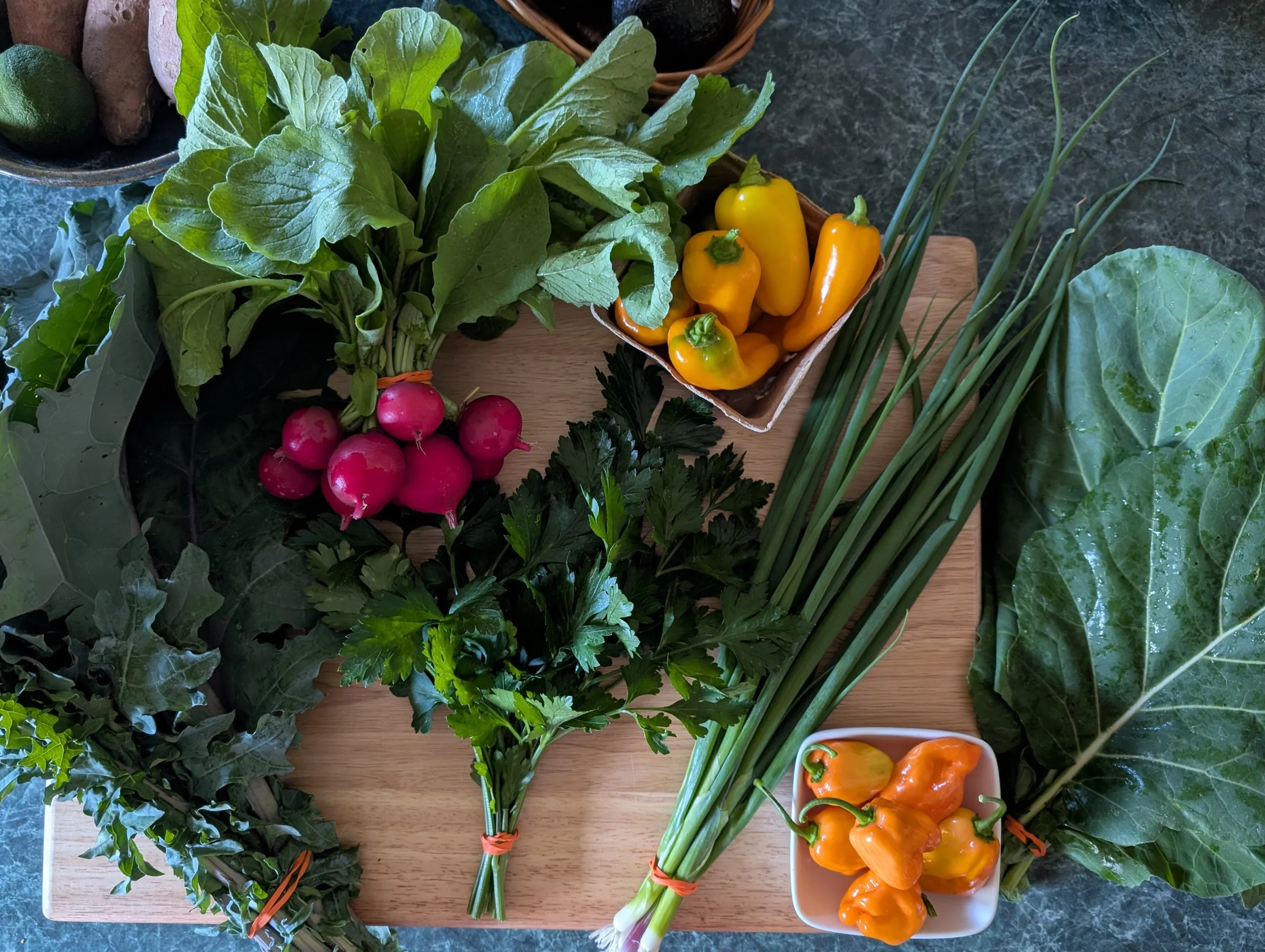 PXL_20250926_151424729 (2).jpg