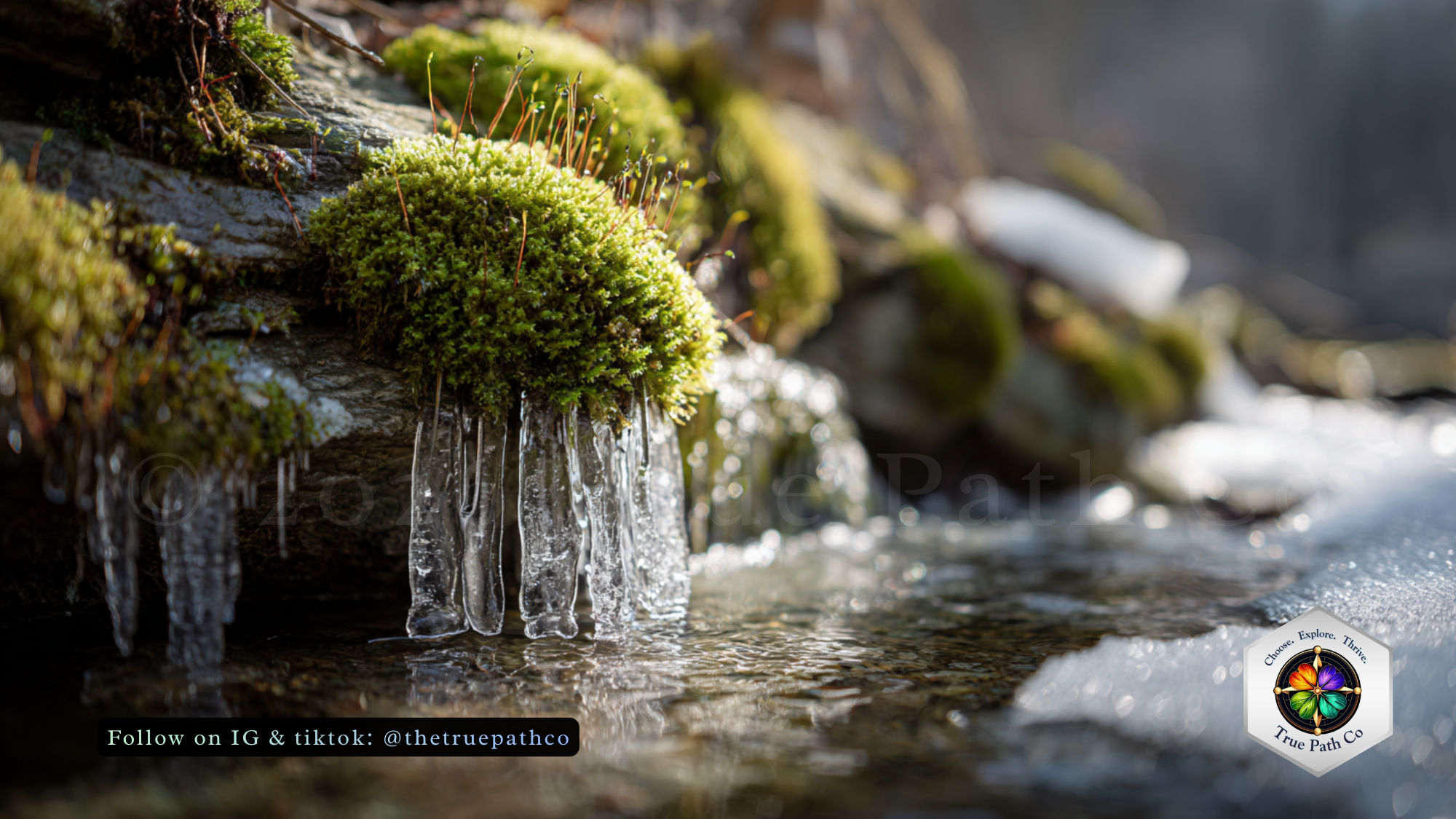 March 2026 Energetic Forecast: The First Breath of Spring