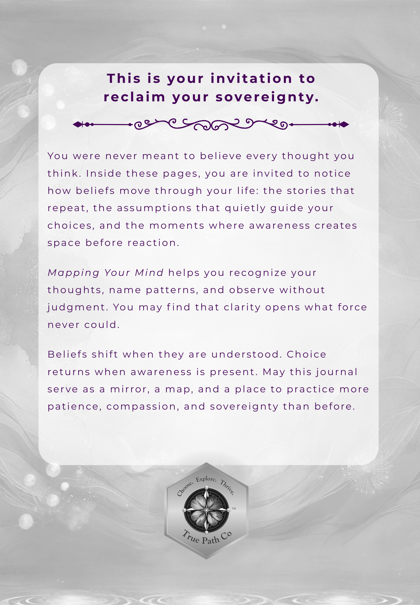 KDP beliefs journal back.png