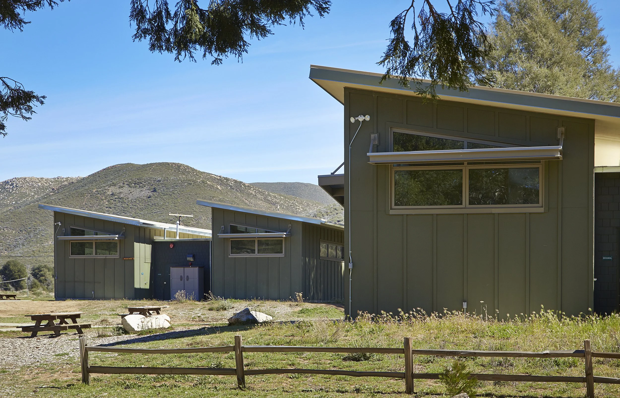 Davy_Cuyamaca_5249(1).jpg