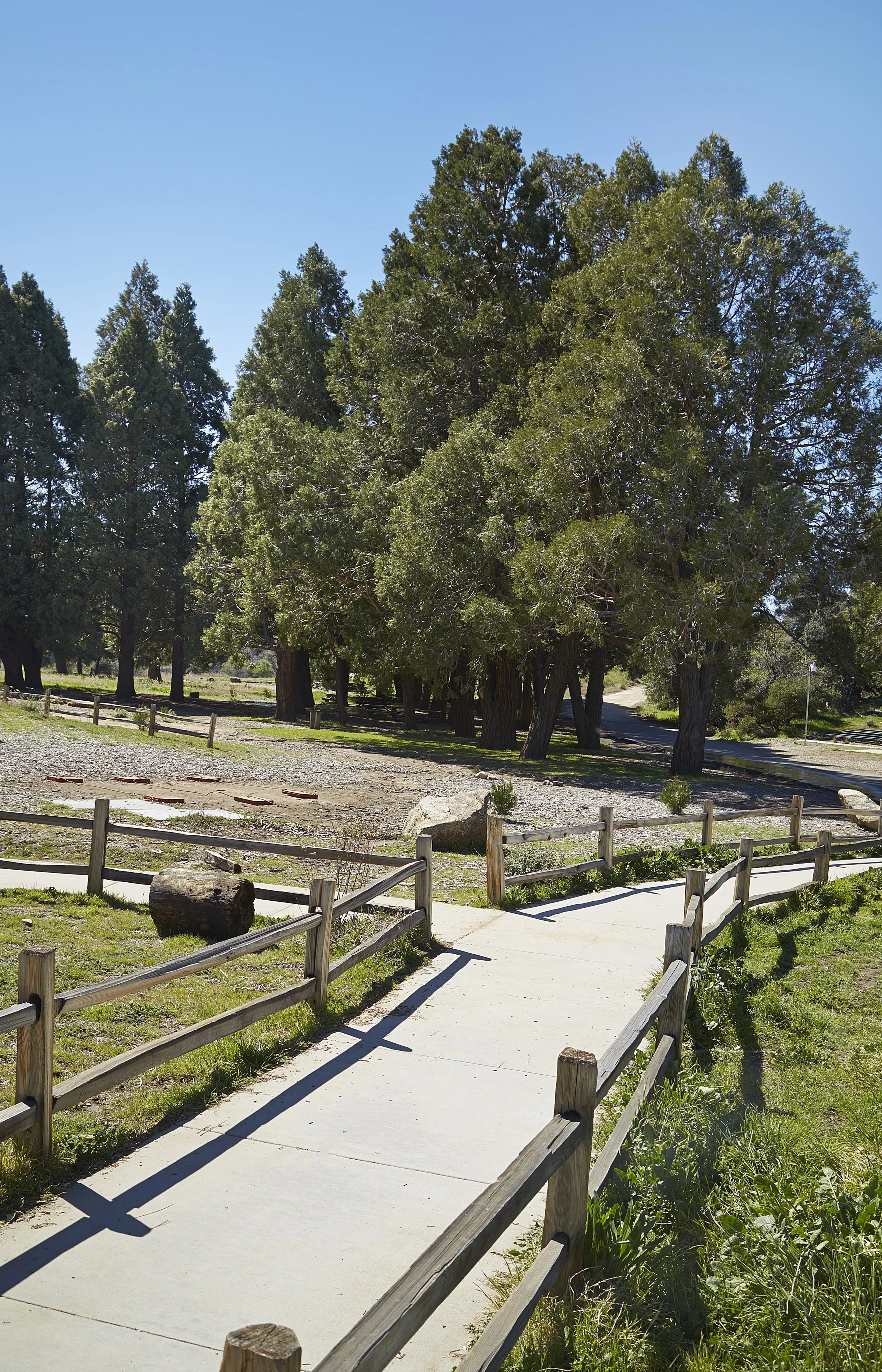 Davy_Cuyamaca_5279.jpg