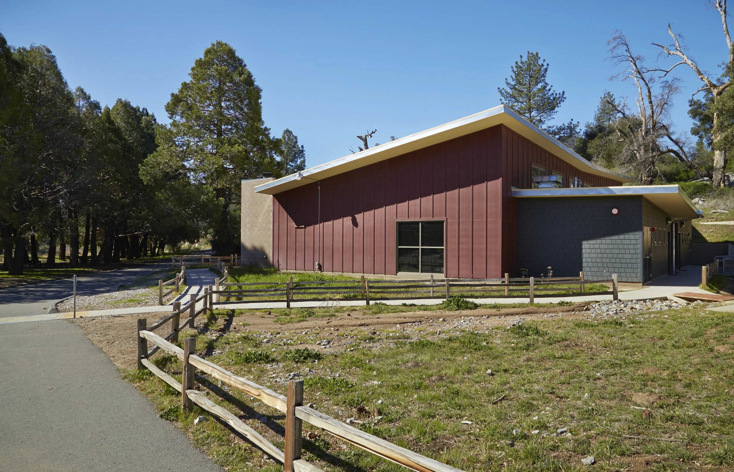 Davy_Cuyamaca_5103(1).jpg