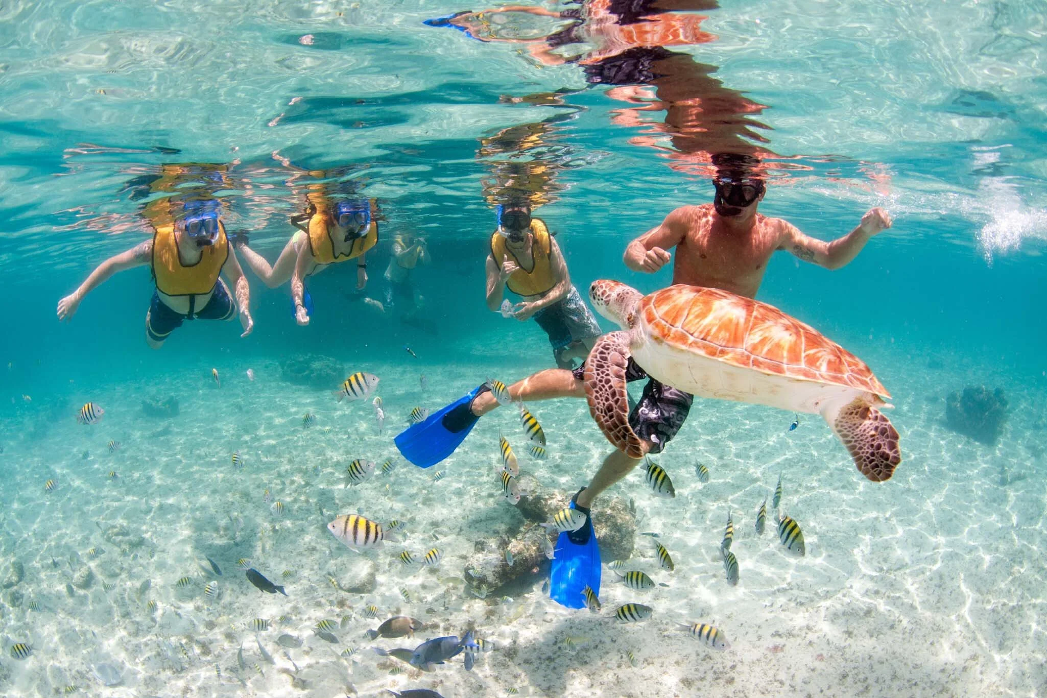 Luxury Sail & Snorkel