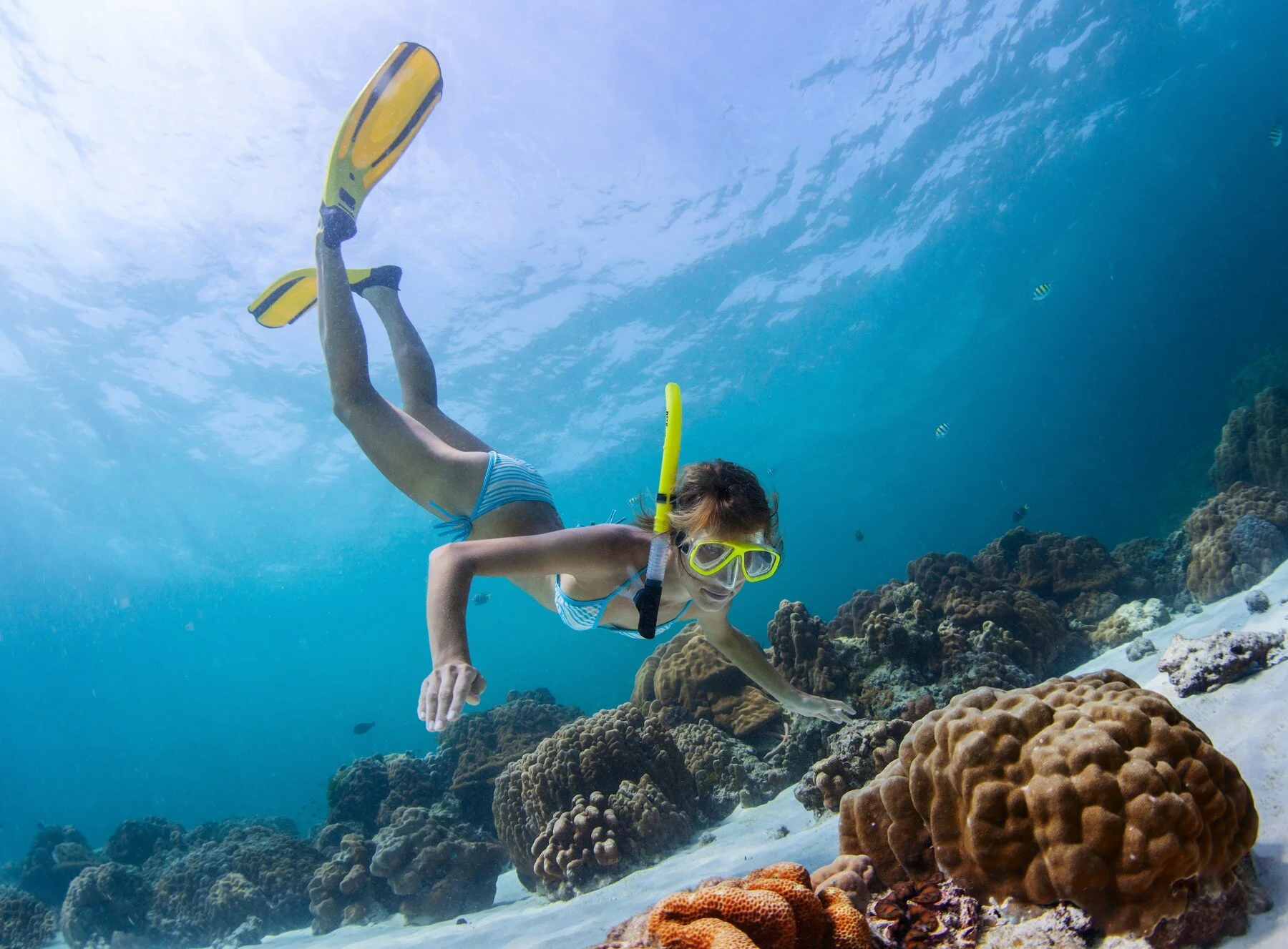 MARINA EL CID CATAMARAN SAILING & SNORKELING
