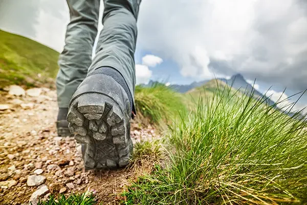 Guided Walk