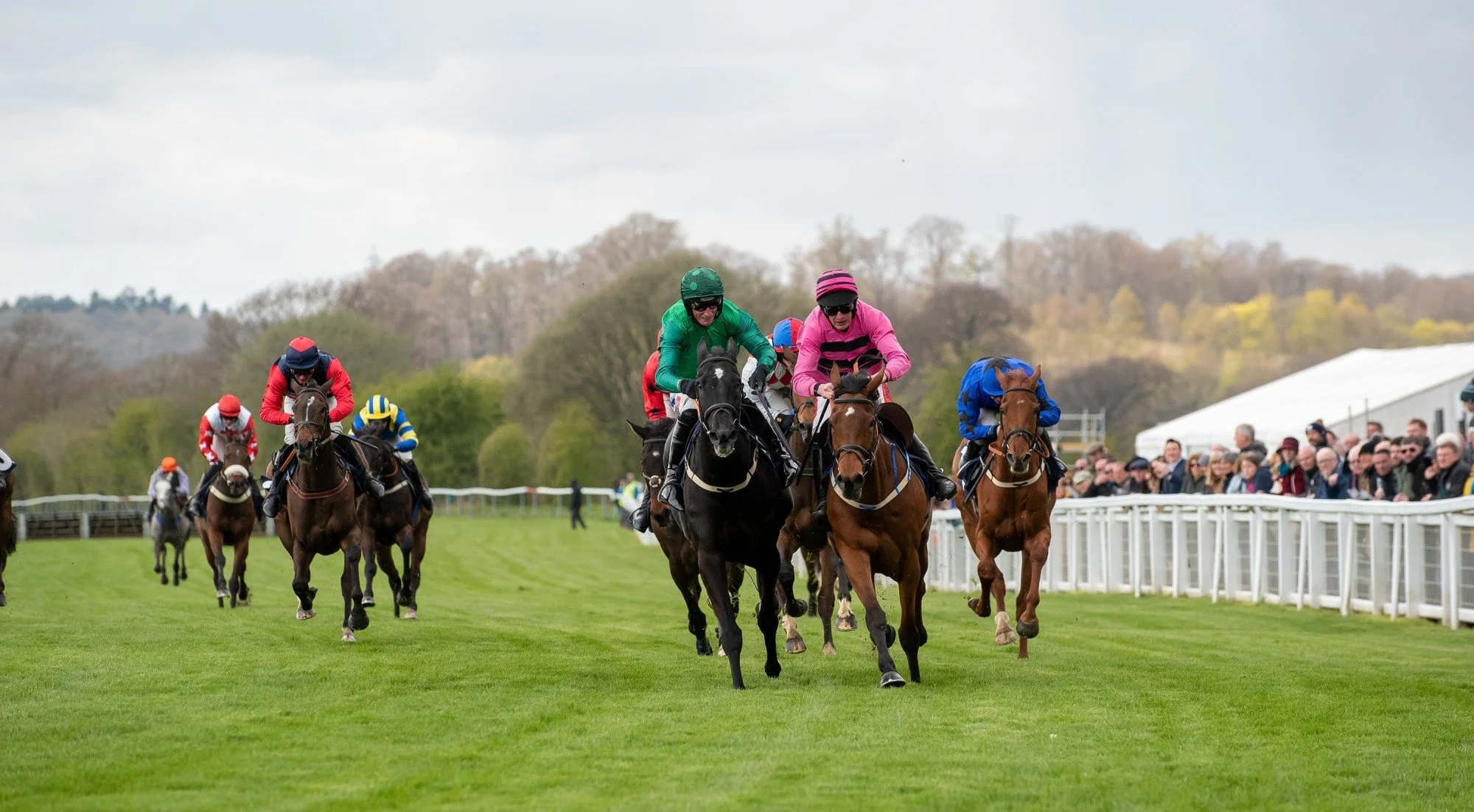 A Day at the Races - Perth Racecourse Experience