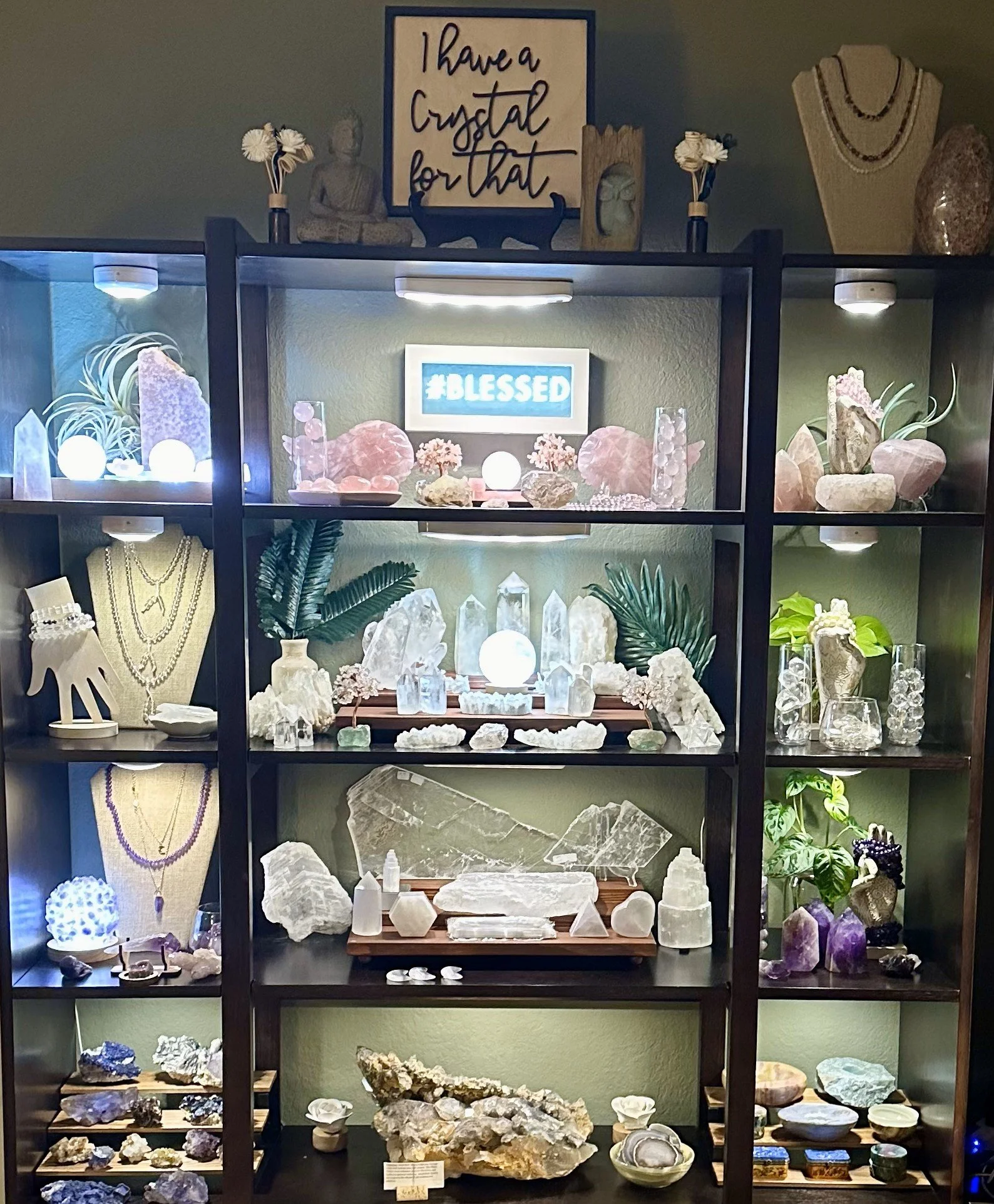 Display case filled with various crystals, gemstones, and mineral specimens, including rose quartz, amethyst, and clear quartz, arranged on shelves with decorative plants and signs that say 'Blessed' and 'I have a crystal for that'.
