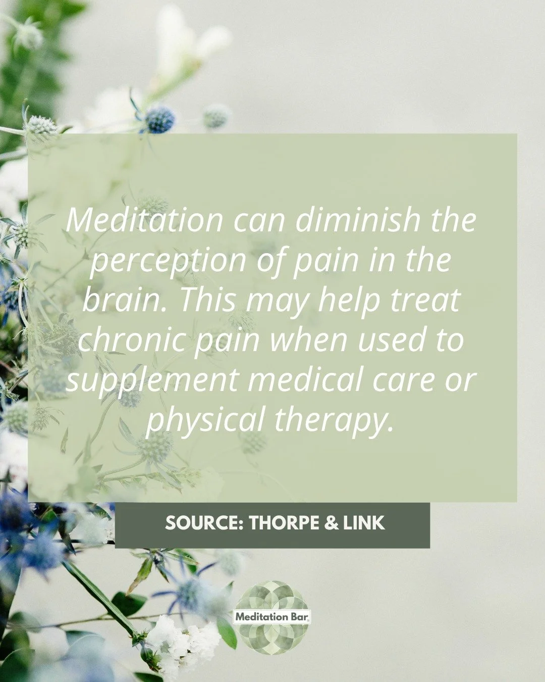 If you’ve tried meditation before and it didn’t click, Meditation 101 can help.
It’s full of techniques and explanations that make the practice feel useful, doable, and personal.
#Meditation101 #FindWhatWorks #MindfulLiving #Medit