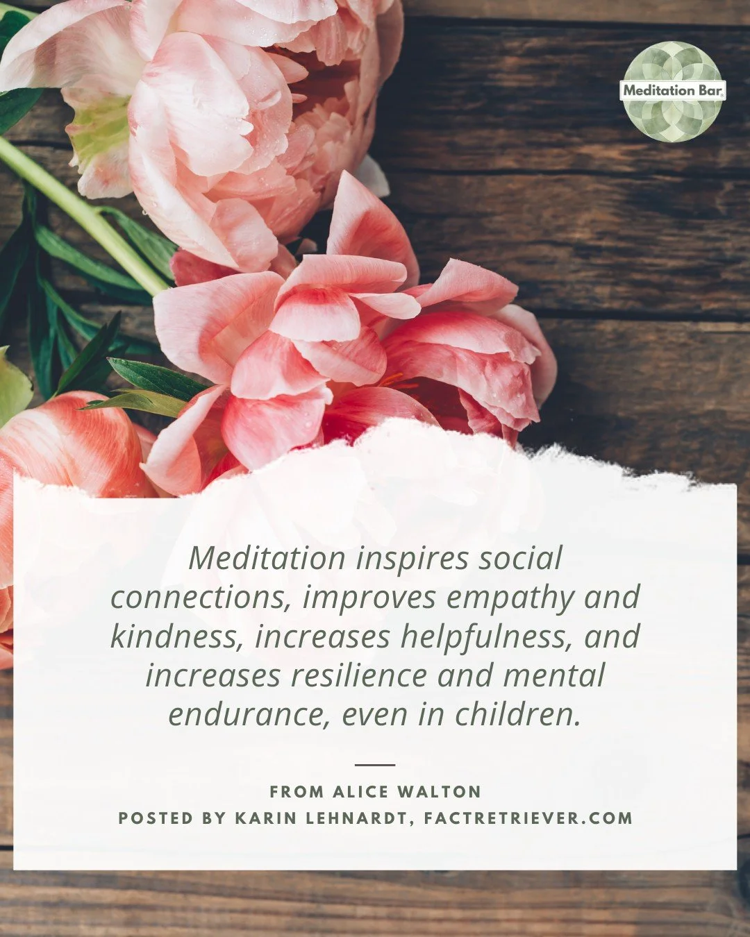 New to meditation? Or just want a refresh that actually makes sense?

Meditation 101 breaks it down in a way that&rsquo;s clear, accessible, and grounded in real life. No incense required.

Learn how to meditate in a way that works for your brain, yo