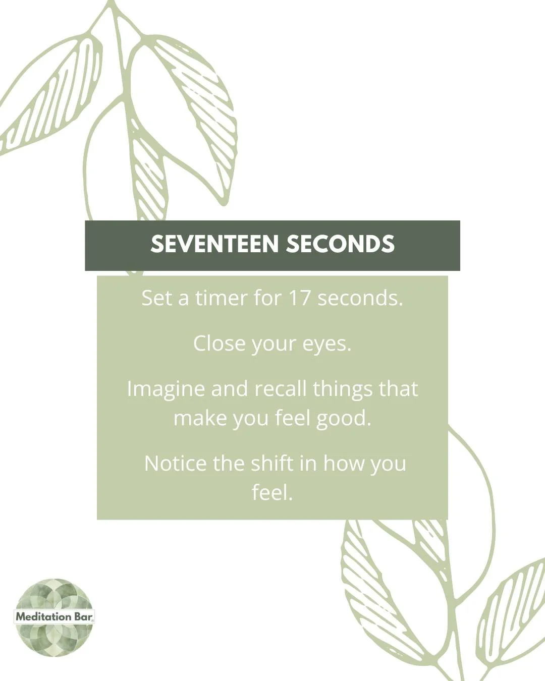 Tucked away in the Arboretum, Meditation Bar is where calm lives.

If you&rsquo;ve been looking for real rest, grounded practices, and science-backed support for your mental and emotional wellbeing&mdash;this is your sign.

Your nervous system will t