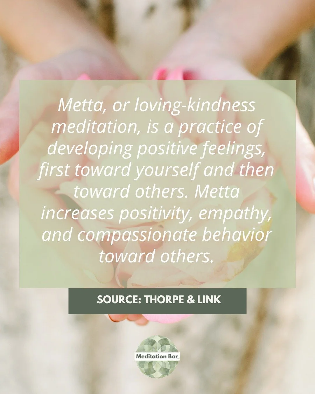 Meditation 101 is a gentle entry point for people who want to feel better but don&rsquo;t know where to start.

Think less &ldquo;clear your mind,&rdquo; more &ldquo;get to know it.&rdquo;

It&rsquo;s about creating space &mdash; not pressure.

#Medi