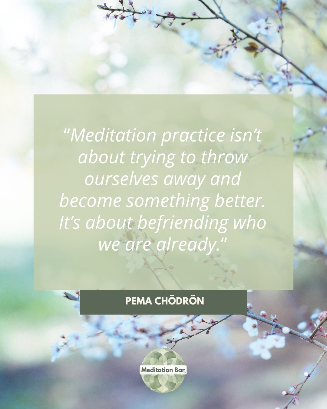 Meditation 101 isn&rsquo;t about getting it right.

It&rsquo;s about getting to know yourself in a new way, with patience, presence, and a few powerful tools.

#Meditation101 #LearnToMeditate #SelfAwarenessTools #MindfulPractice #MeditationBar #Clari