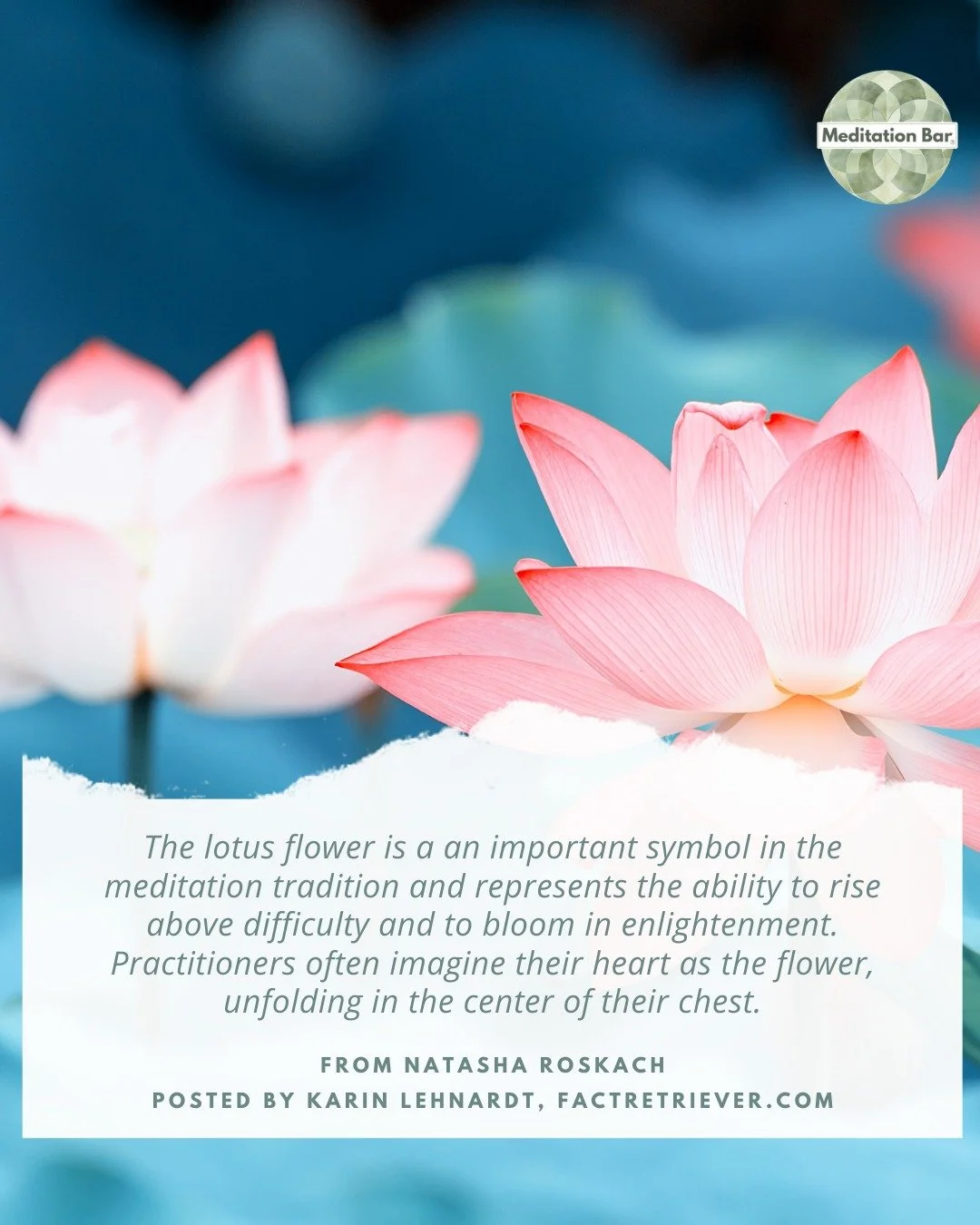 You don&rsquo;t have to be good at meditation to start.
You just have to start.

Meditation 101 helps you understand what&rsquo;s happening in your brain and body, and teaches you how to work with yourself instead of against yourself. This is your in