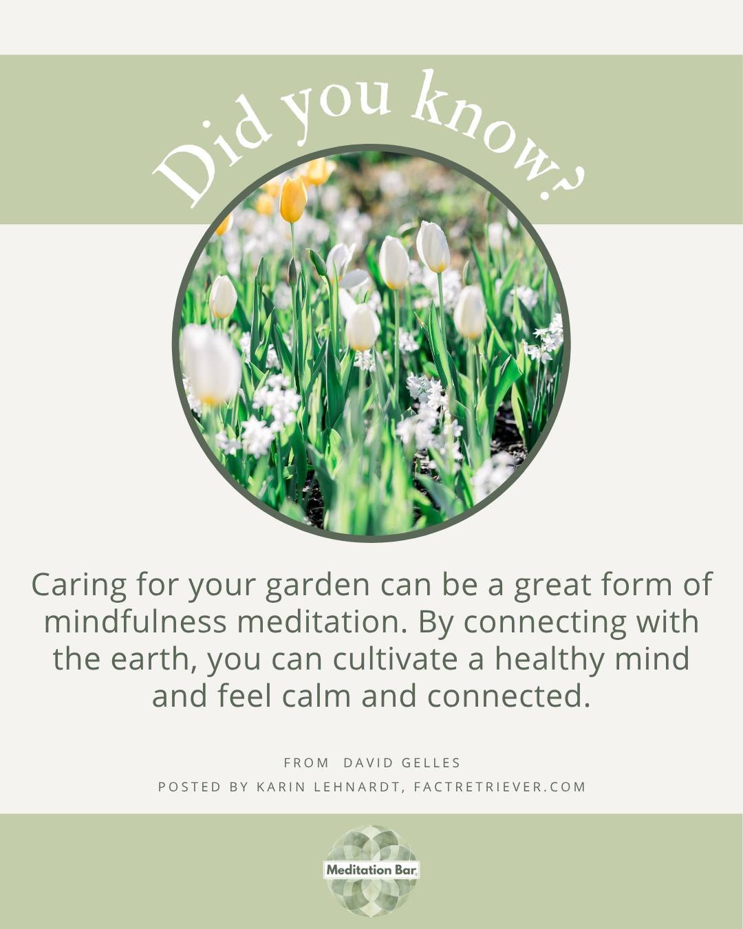 Meditation 101 helps you understand what meditation really is, and how to use it to feel calmer, clearer, and more grounded.

No fluff. No pressure. Just tools that work.

#Meditation101 #CalmYourMind #SimpleSelfCare #MindfulnessThatWorks #StartMedit