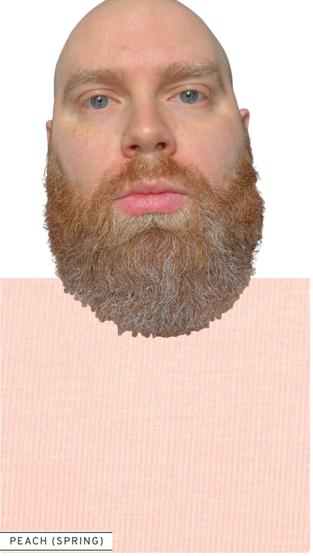 5.png