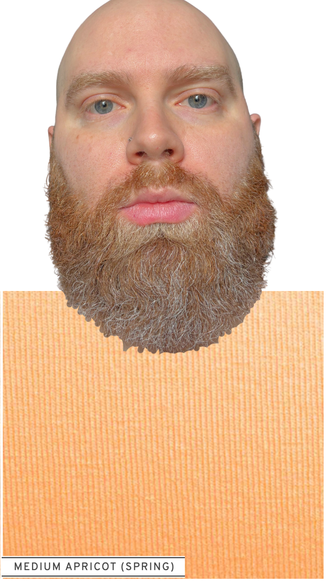 8.png