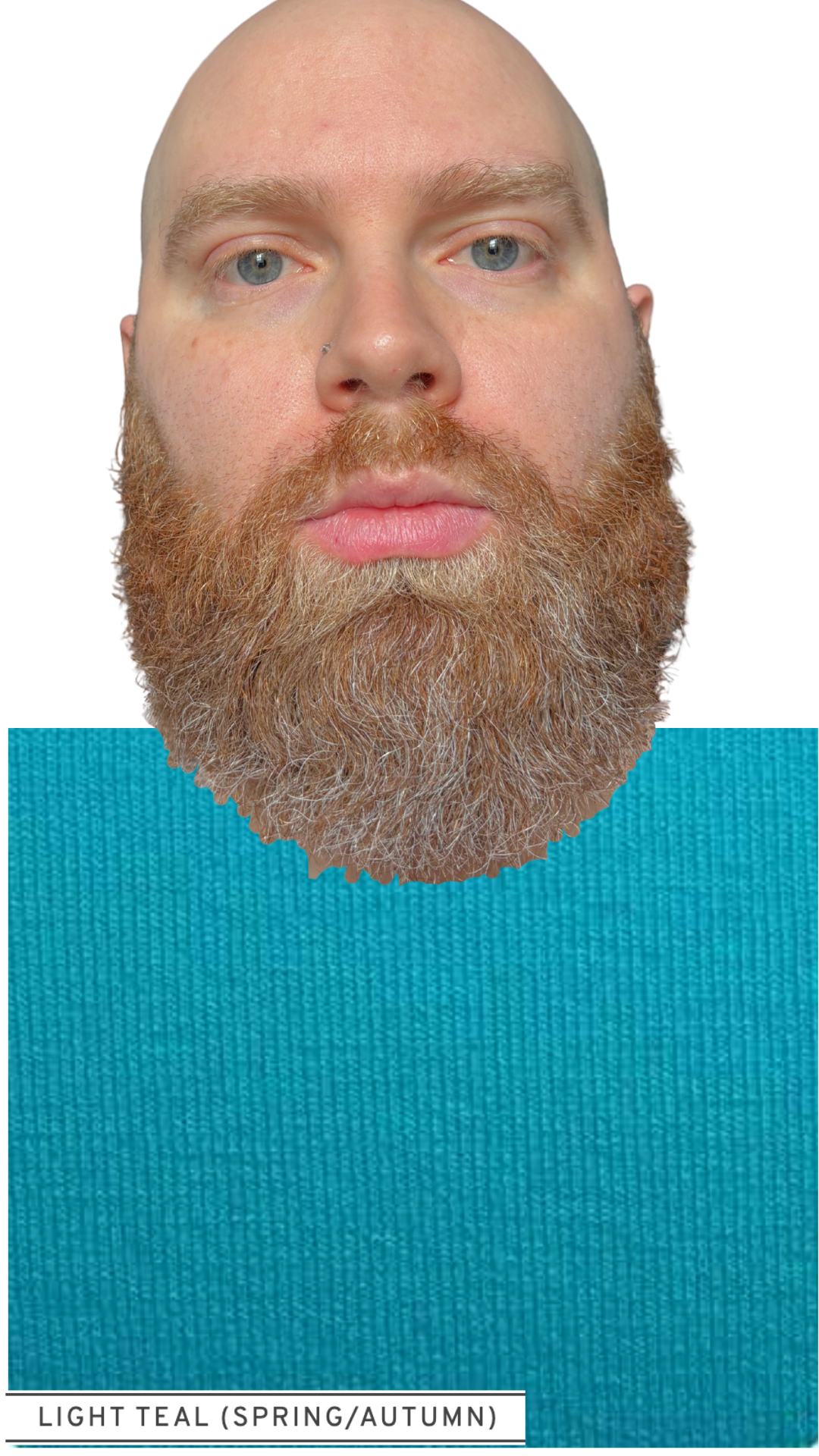 13.png