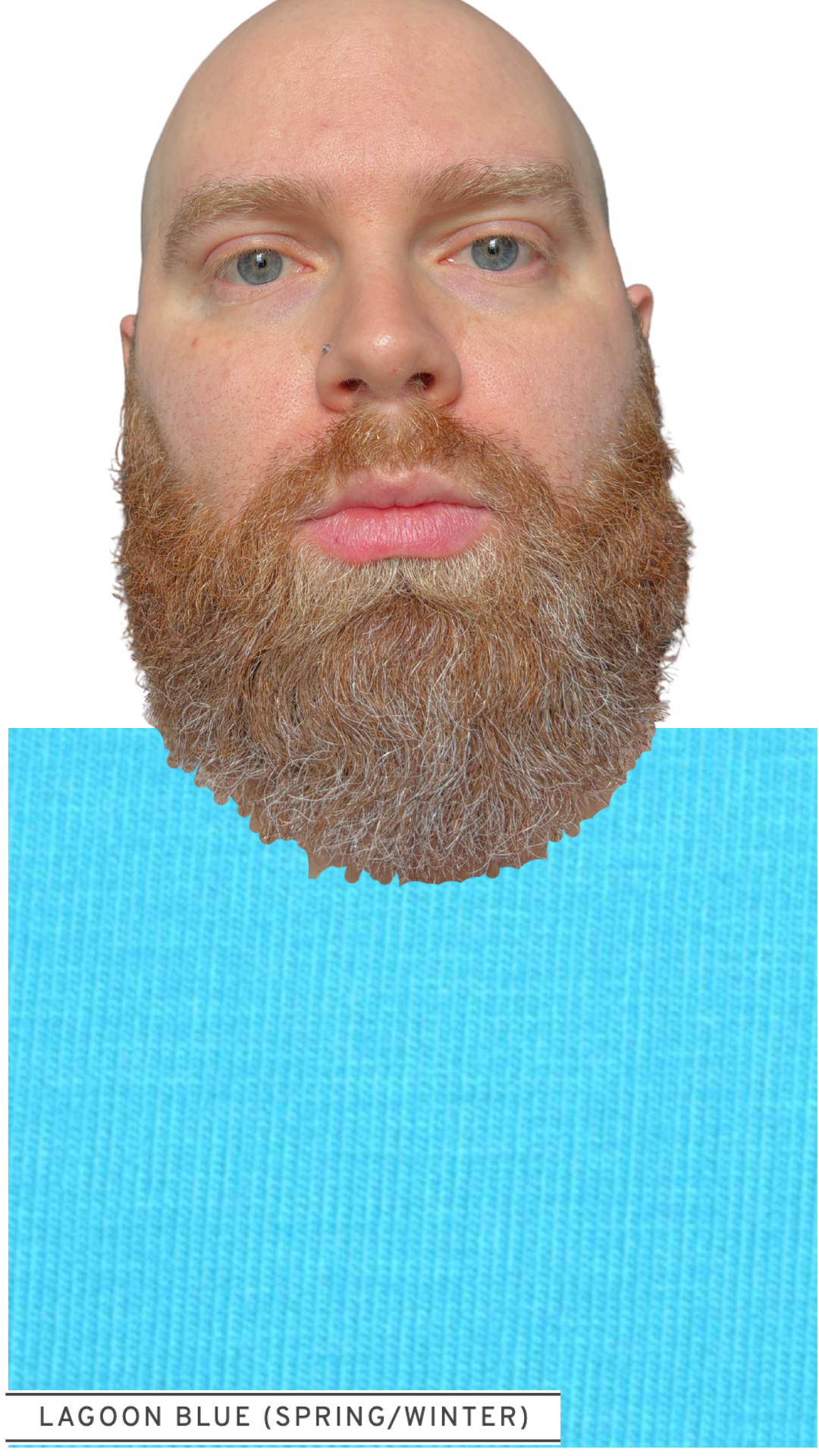 15.png