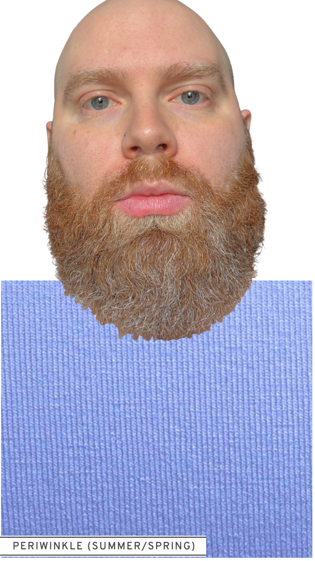 19.png