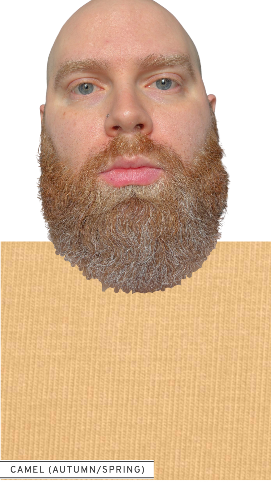 21.png