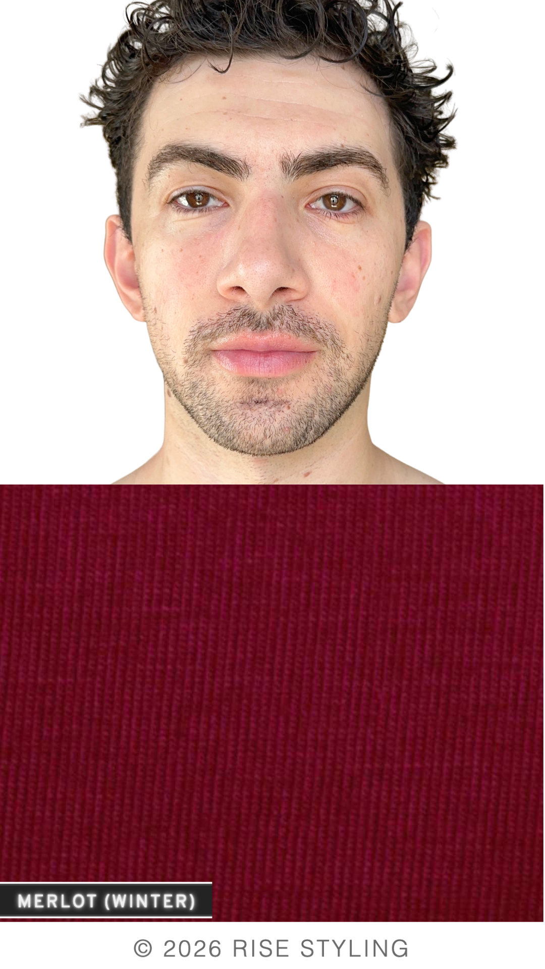 2.png