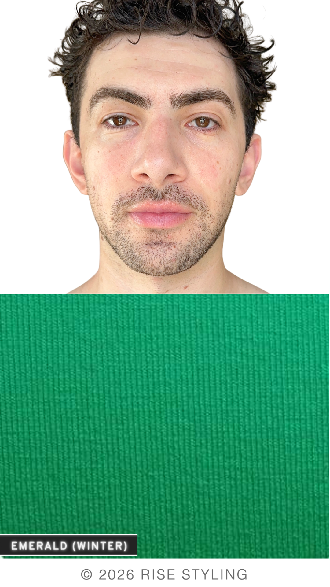 6.png