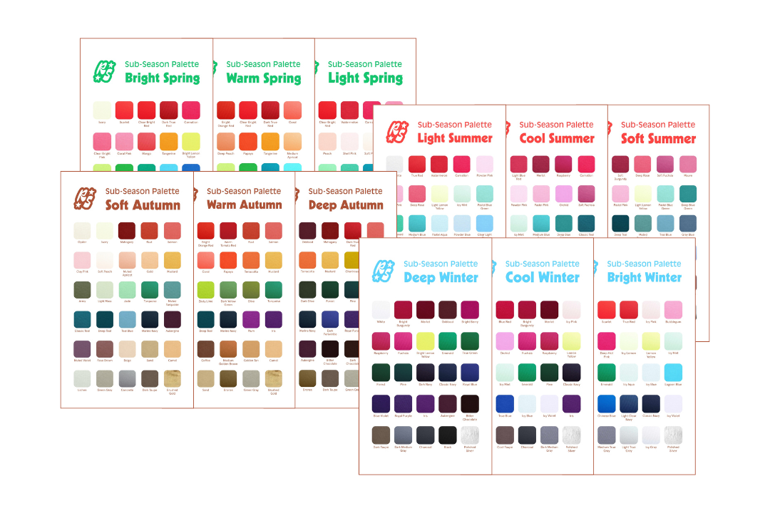 Visual overview of all 12 seasonal color analysis sub-season palettes — Spring, Summer, Autumn and Winter — used in professional personal color analysis.