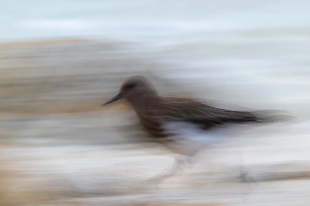 Creative Interpretations