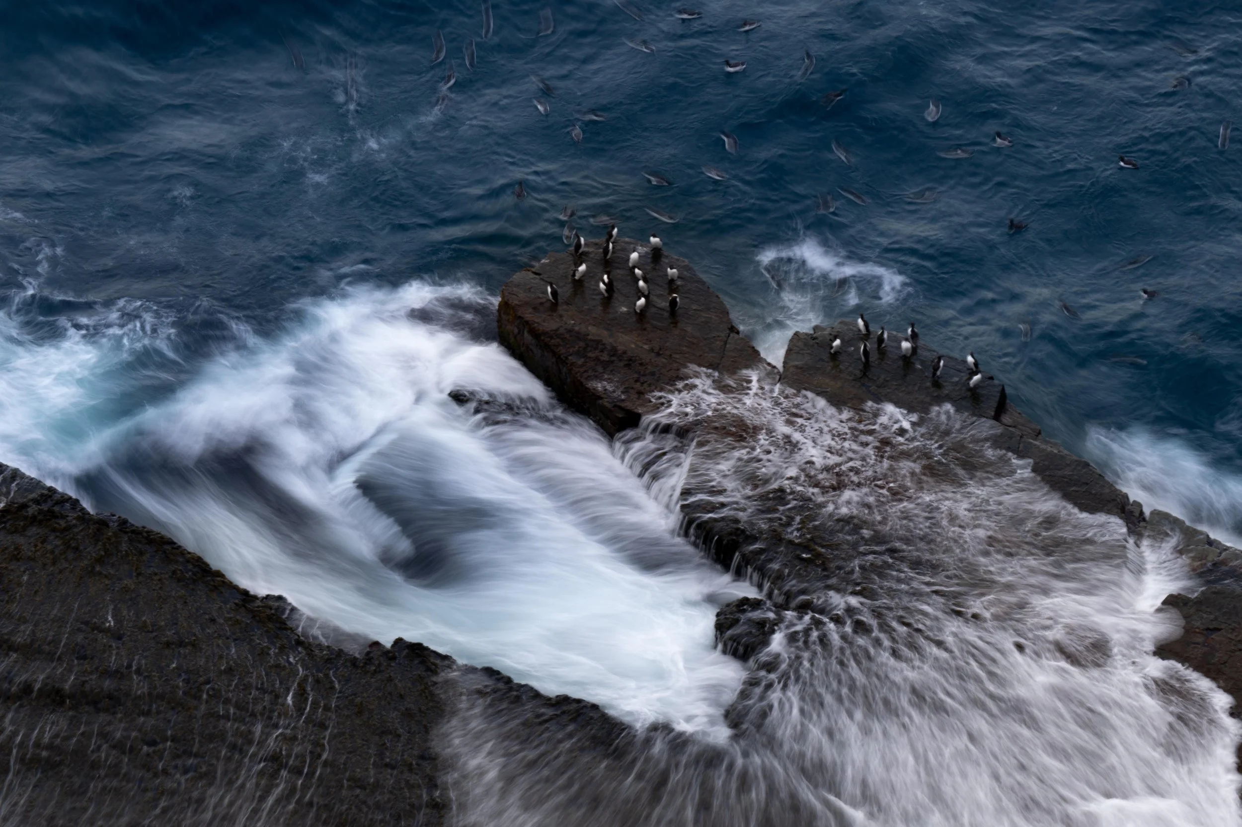 Z8_Newfoundland_June18-99 (1).jpg