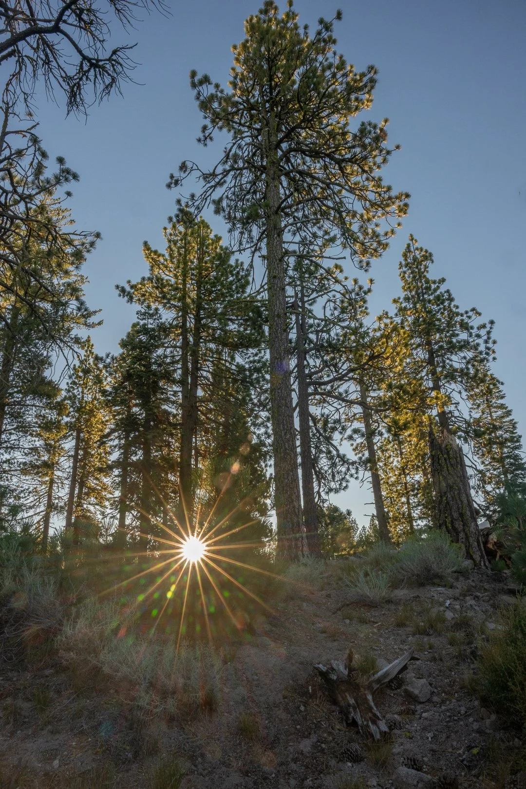 Z8_Lassen_July23-7858-Edit.jpg