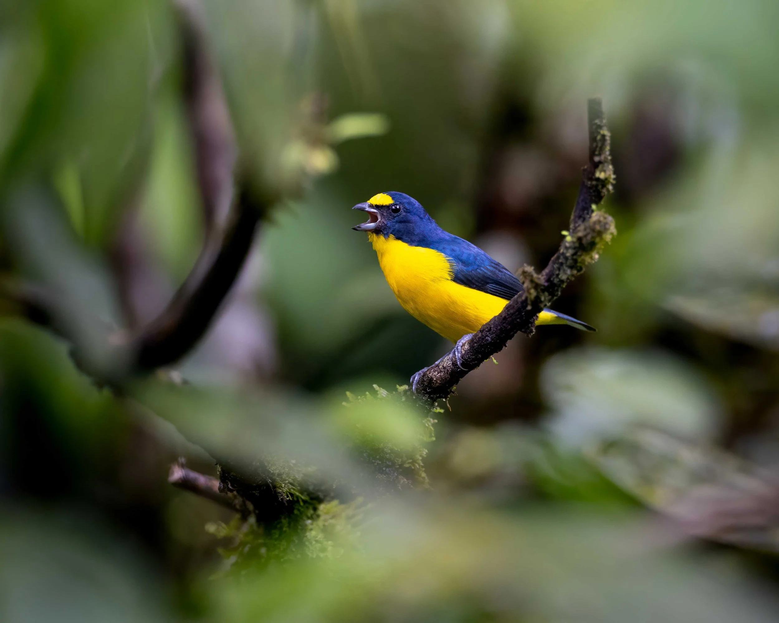 R5_CostaRica_Nov8-361-Edit.jpg